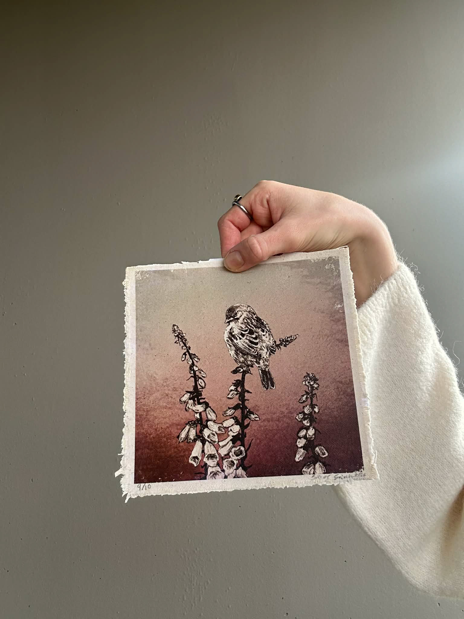 Revebjelle 9 / 10 - Lite eksemplar