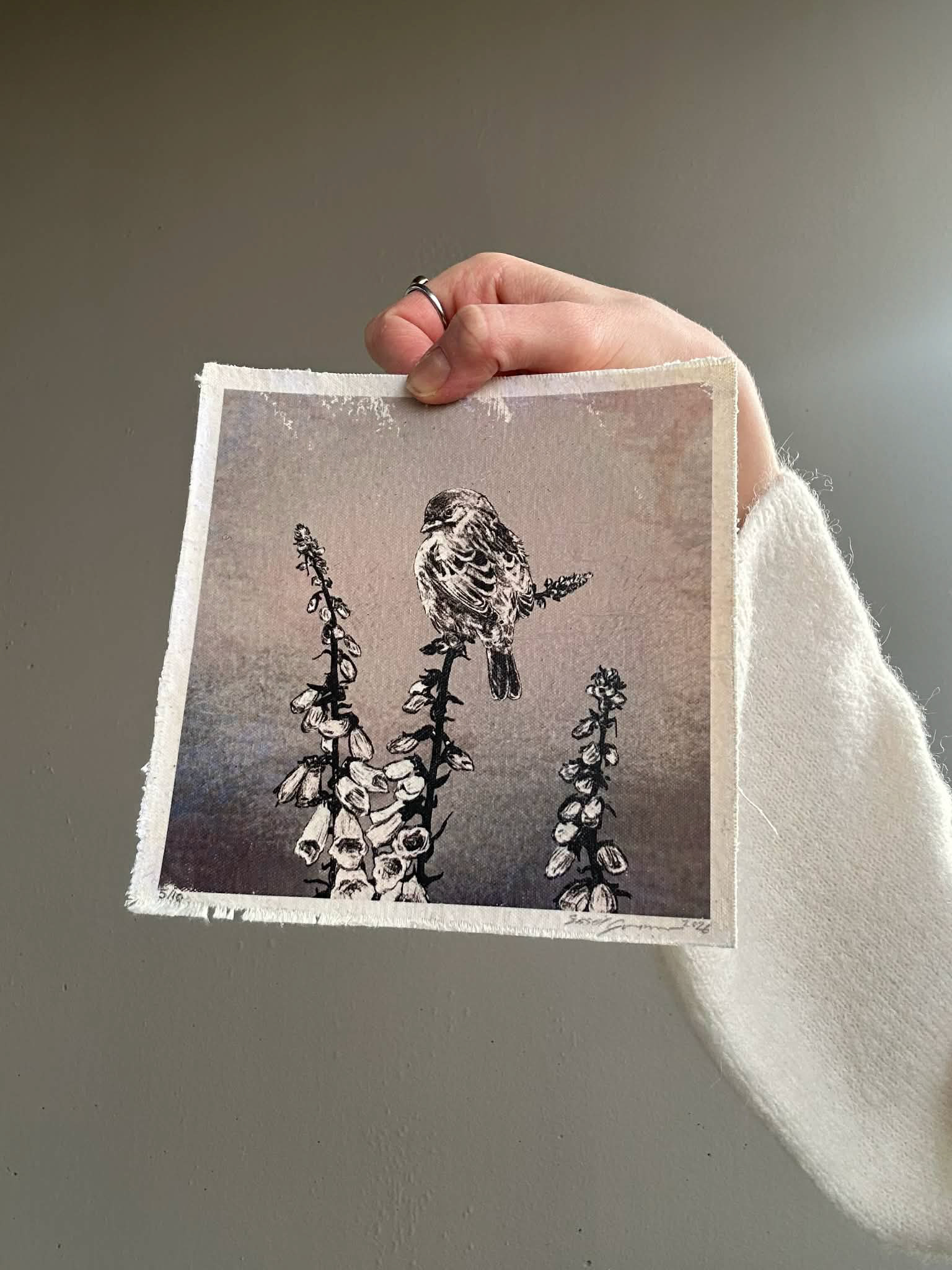 Revebjelle 5 / 10 - Lite eksemplar