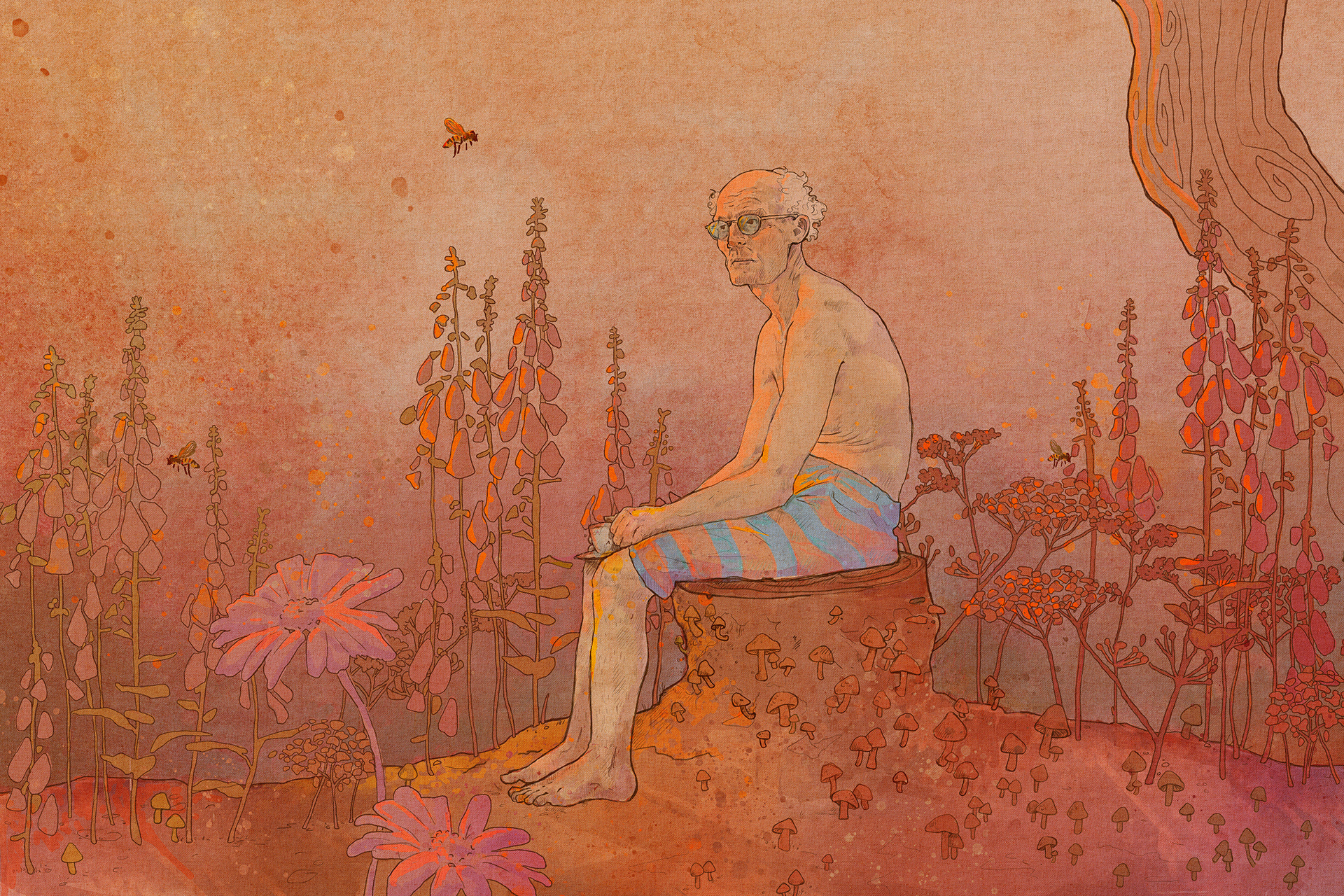 Gubbe på stubbe - 2025