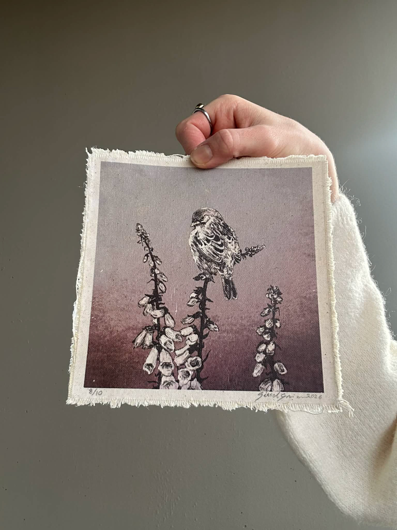 Revebjelle 8 / 10 - Lite eksemplar