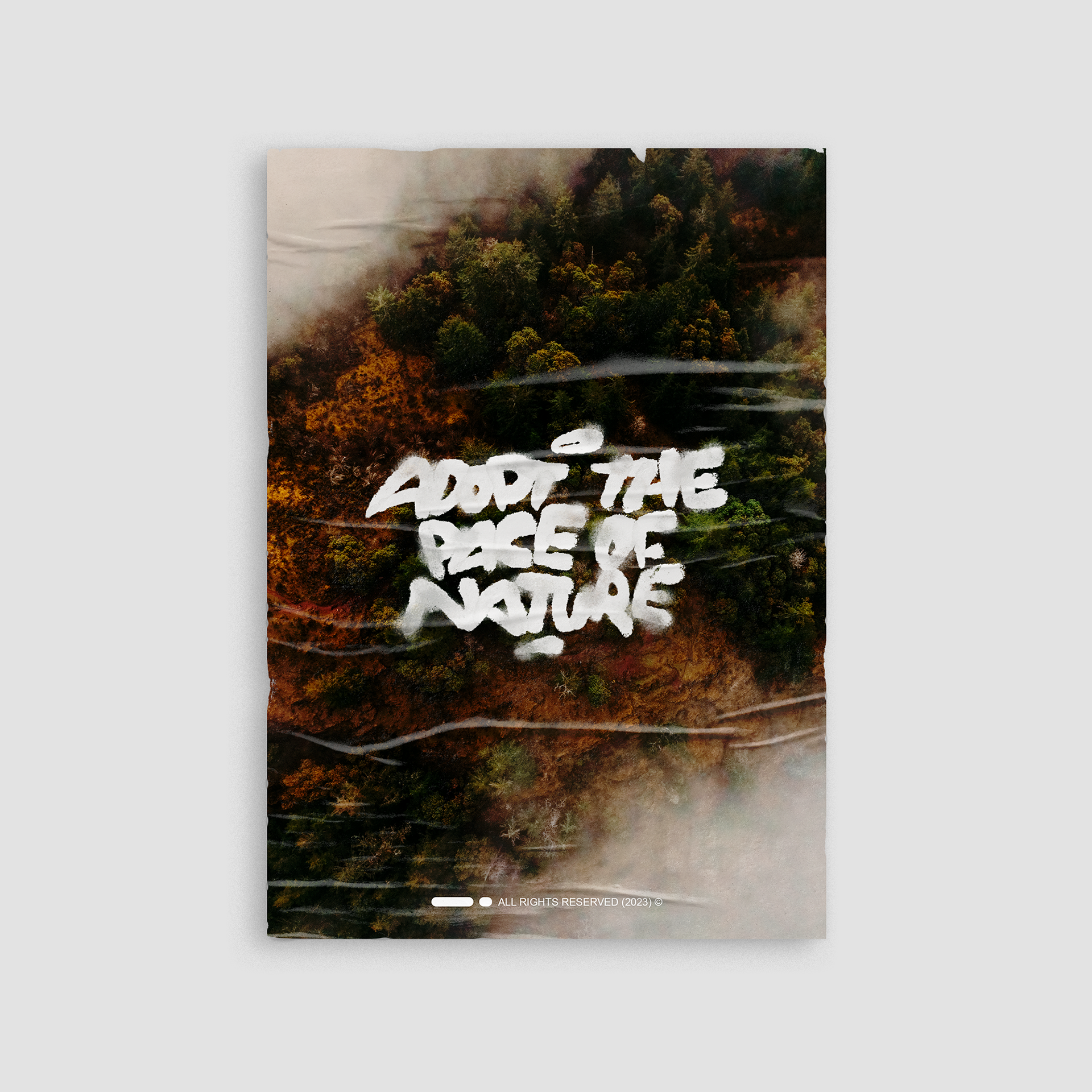 Adopt the Pace of Nature