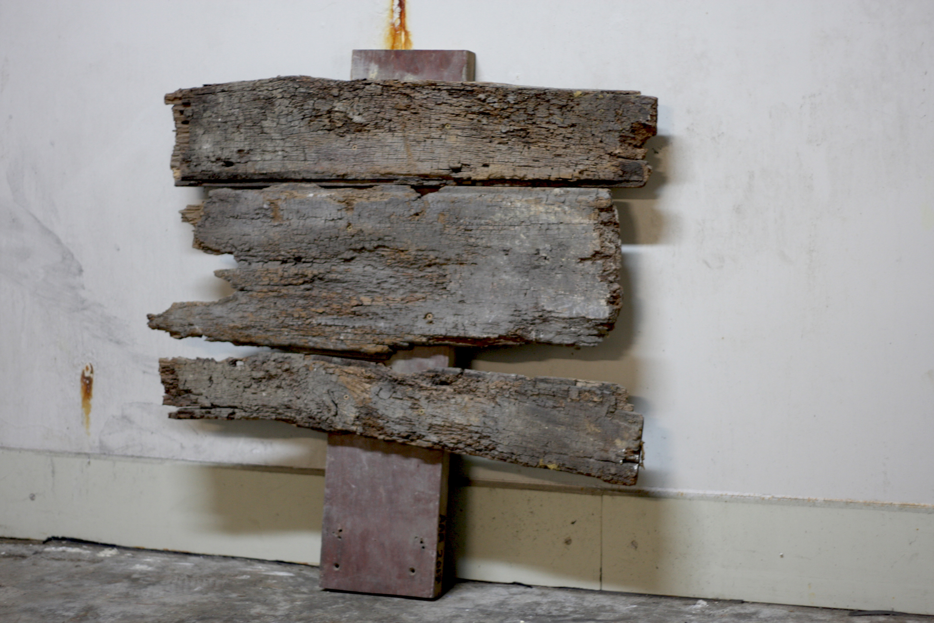 DECAYING NATURE OF THE TREE OF LIFE (2017), OLD FLOORBOARD ON TIMBER
