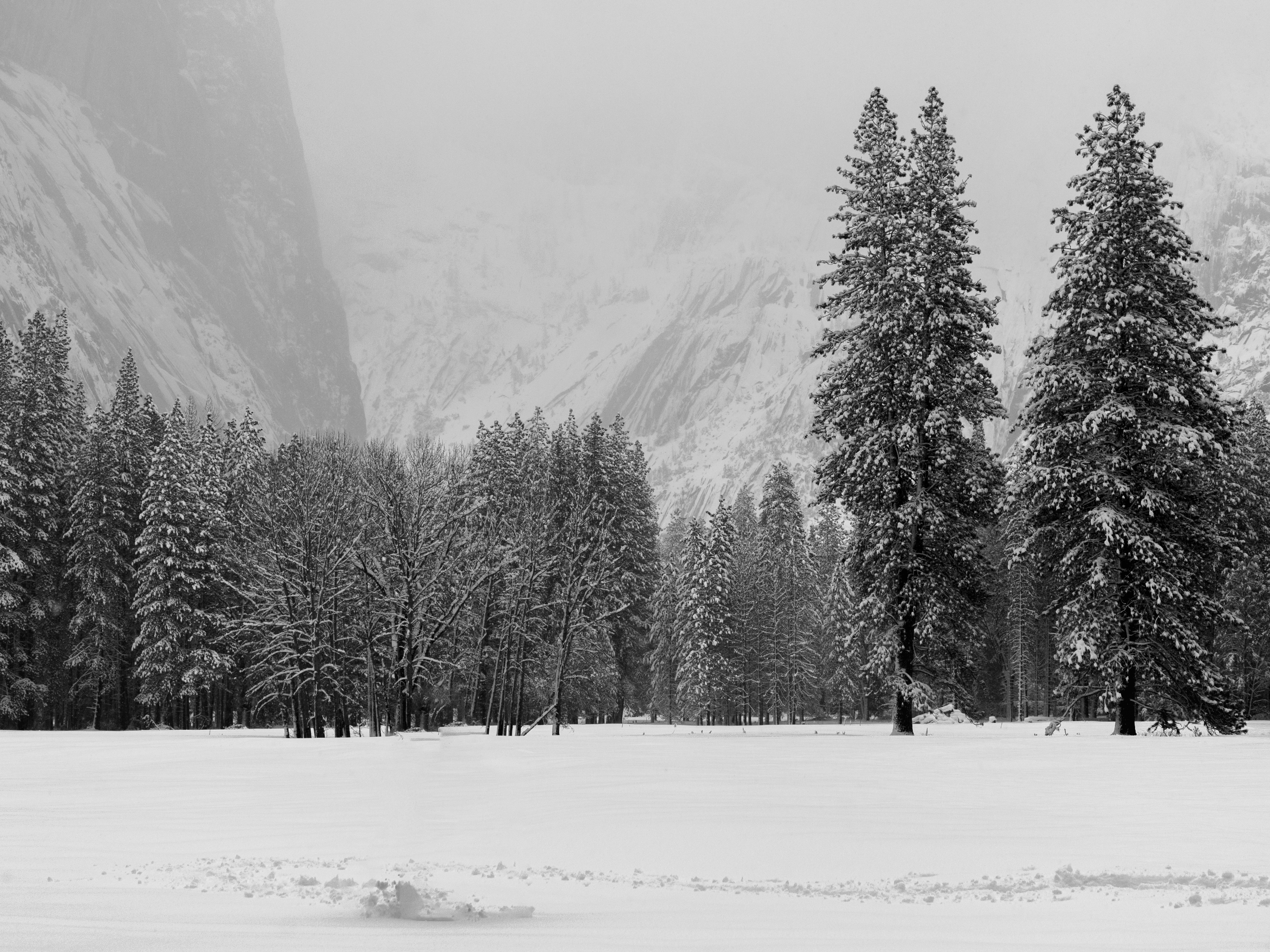 The Yosemite B&W No. 5