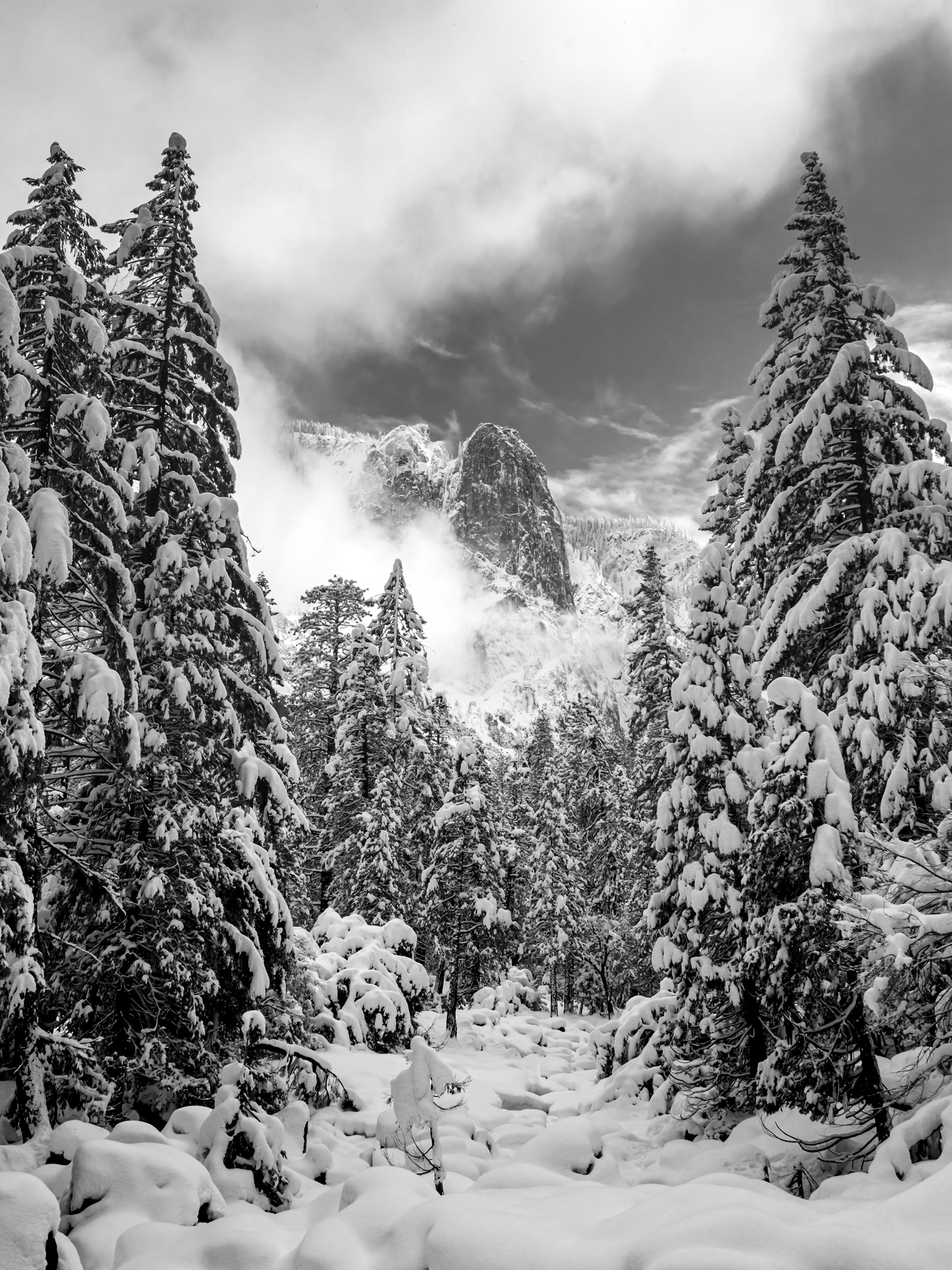 The Yosemite B&W No. 6