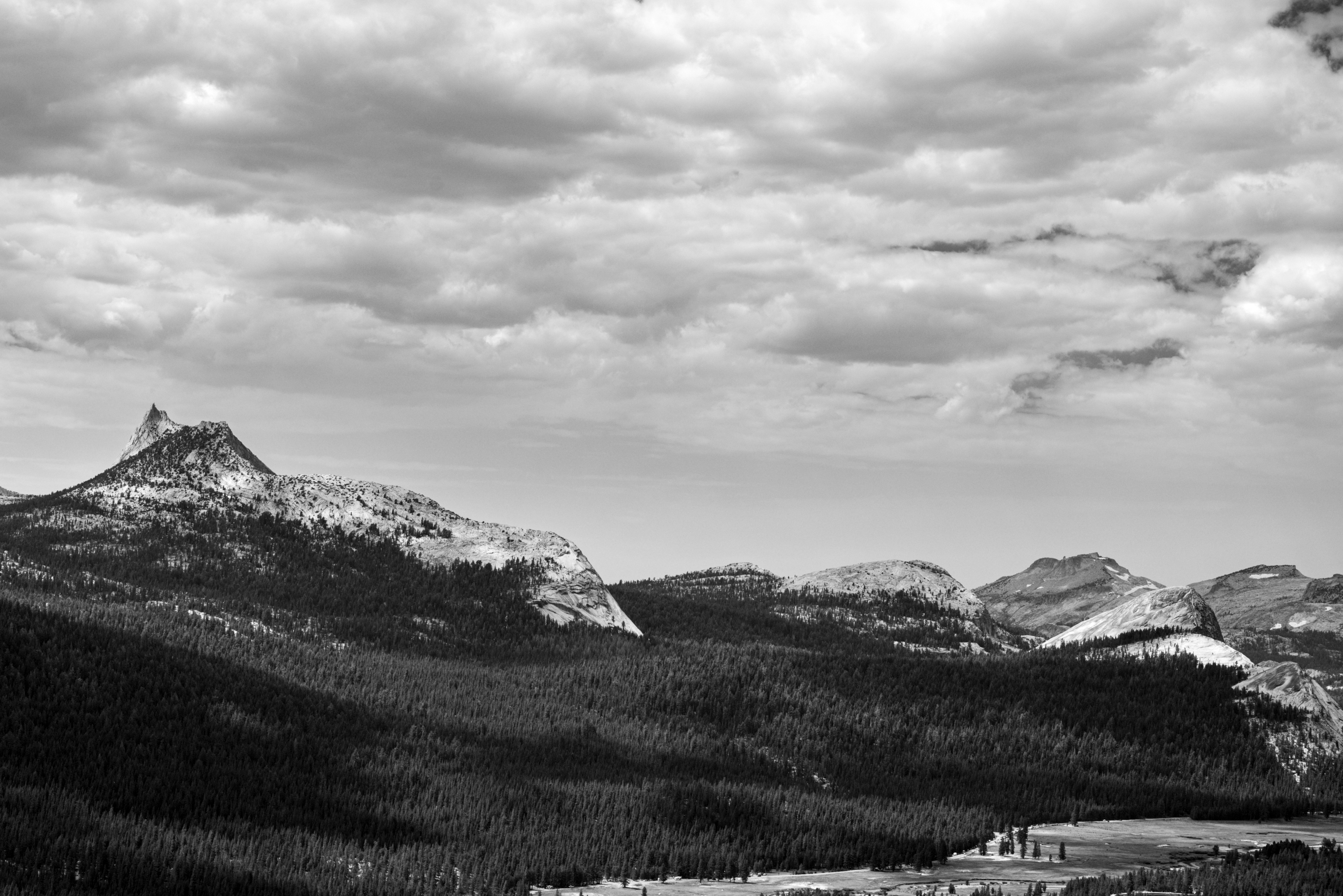 The Yosemite B&W No. 2