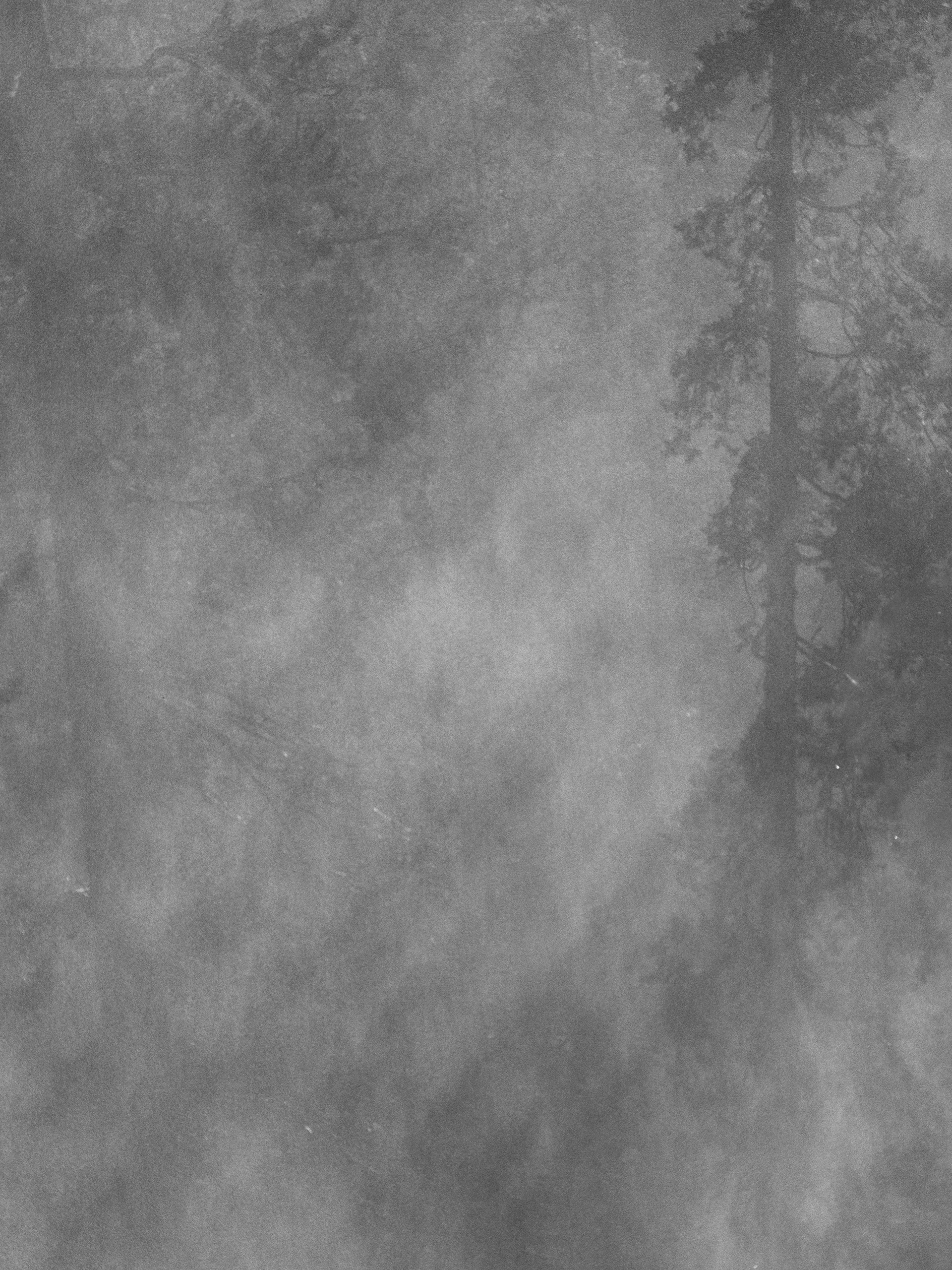 Introspective Yosemite No. 4