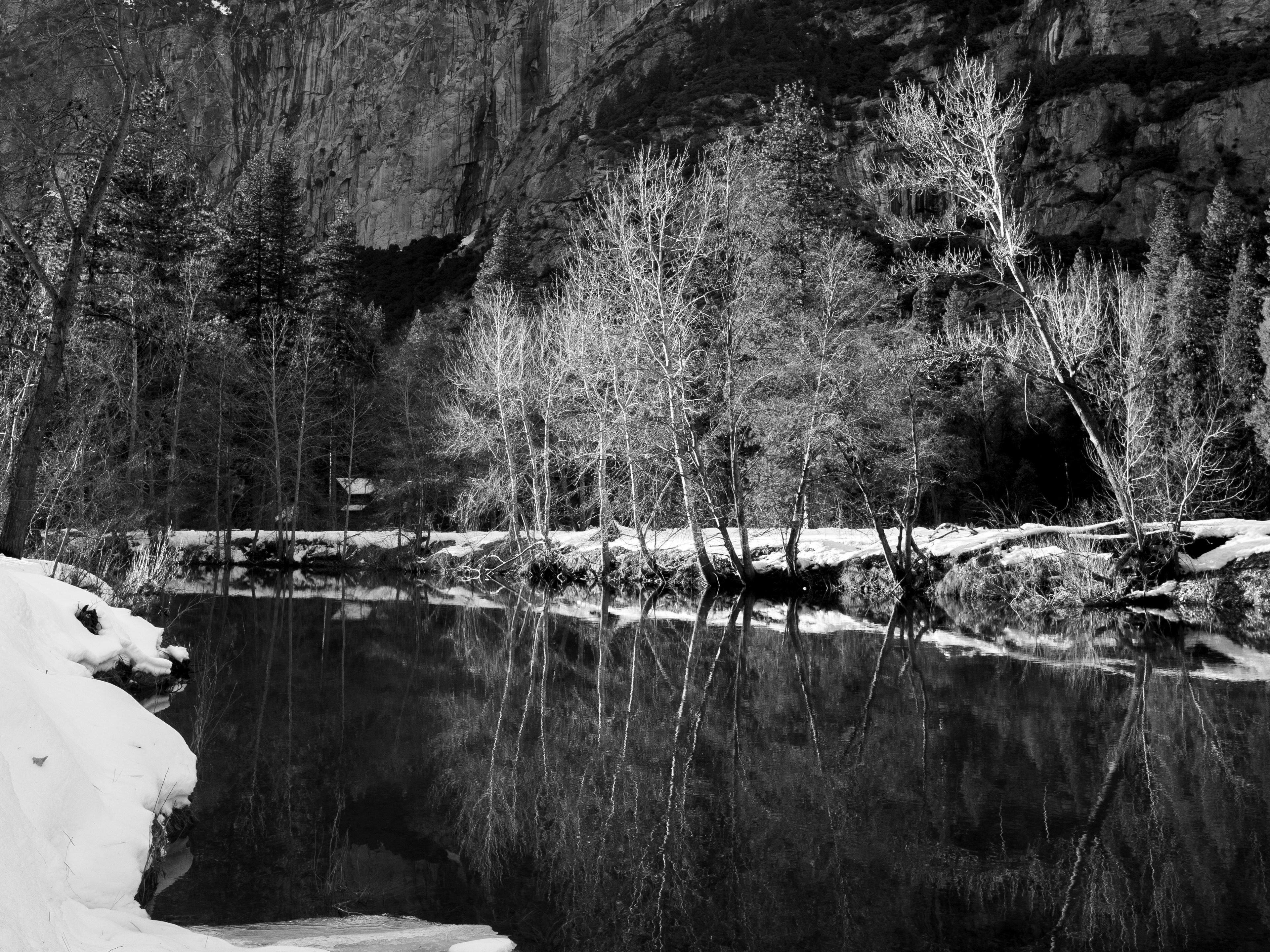 The Yosemite B&W No. 8
