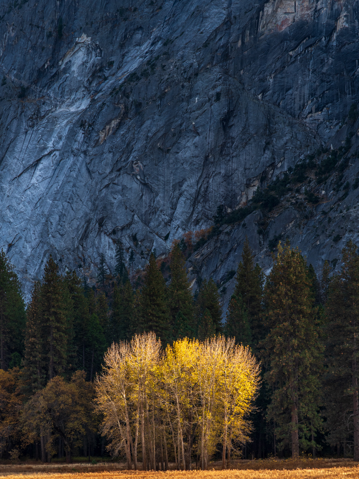 The Yosemite Color No. 38