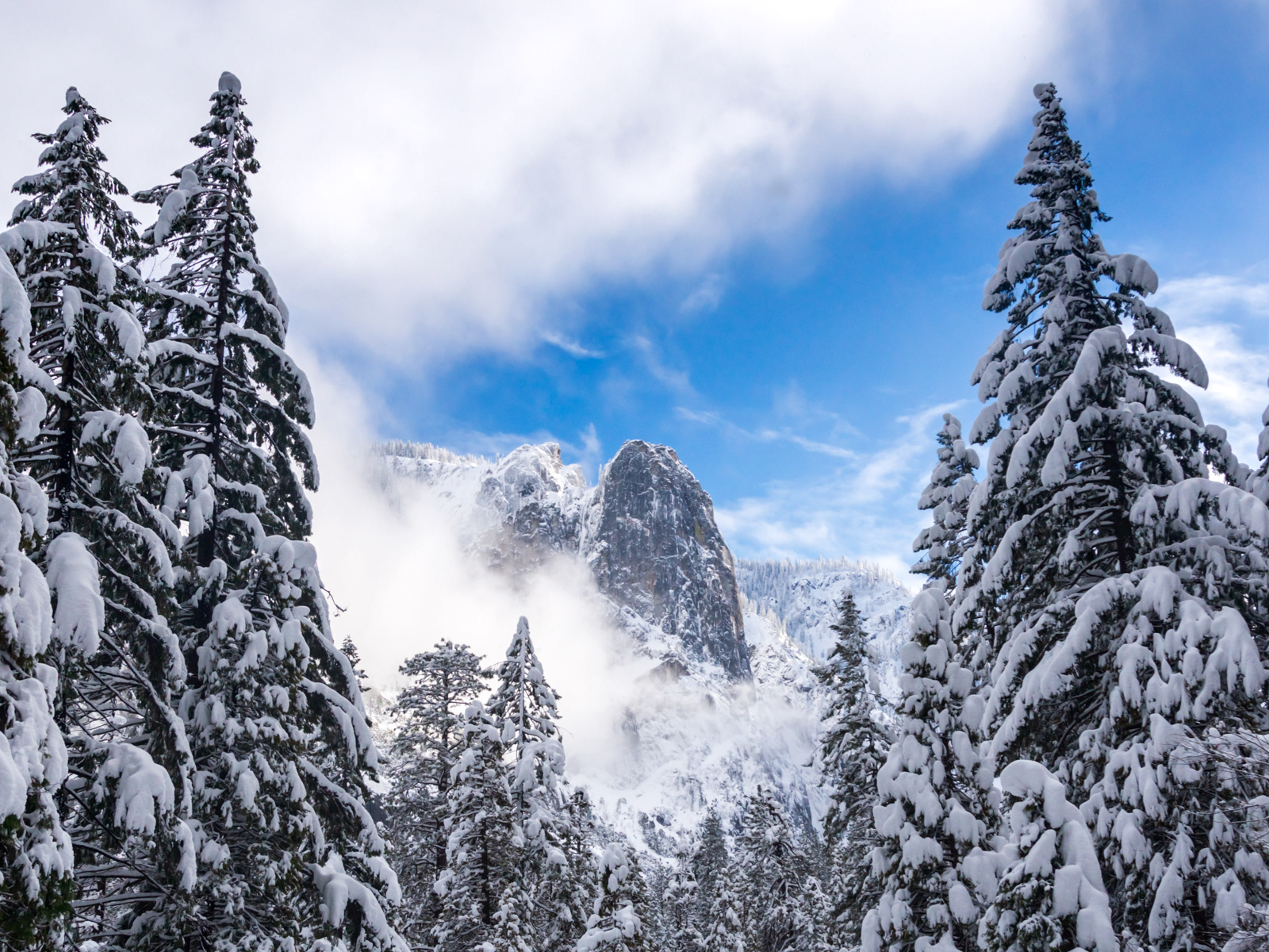 The Yosemite Color No. 12