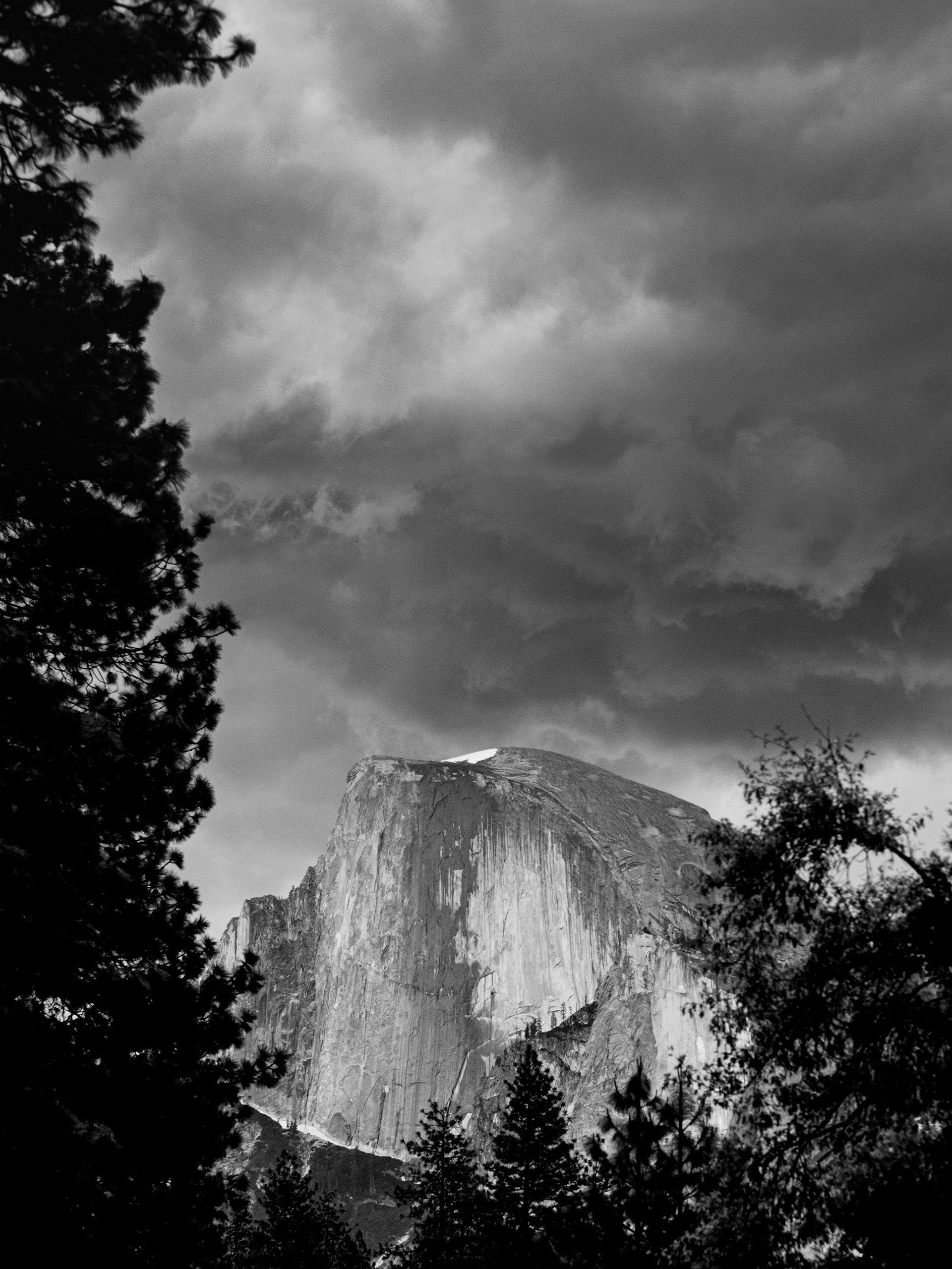 The Yosemite B&W No. 12