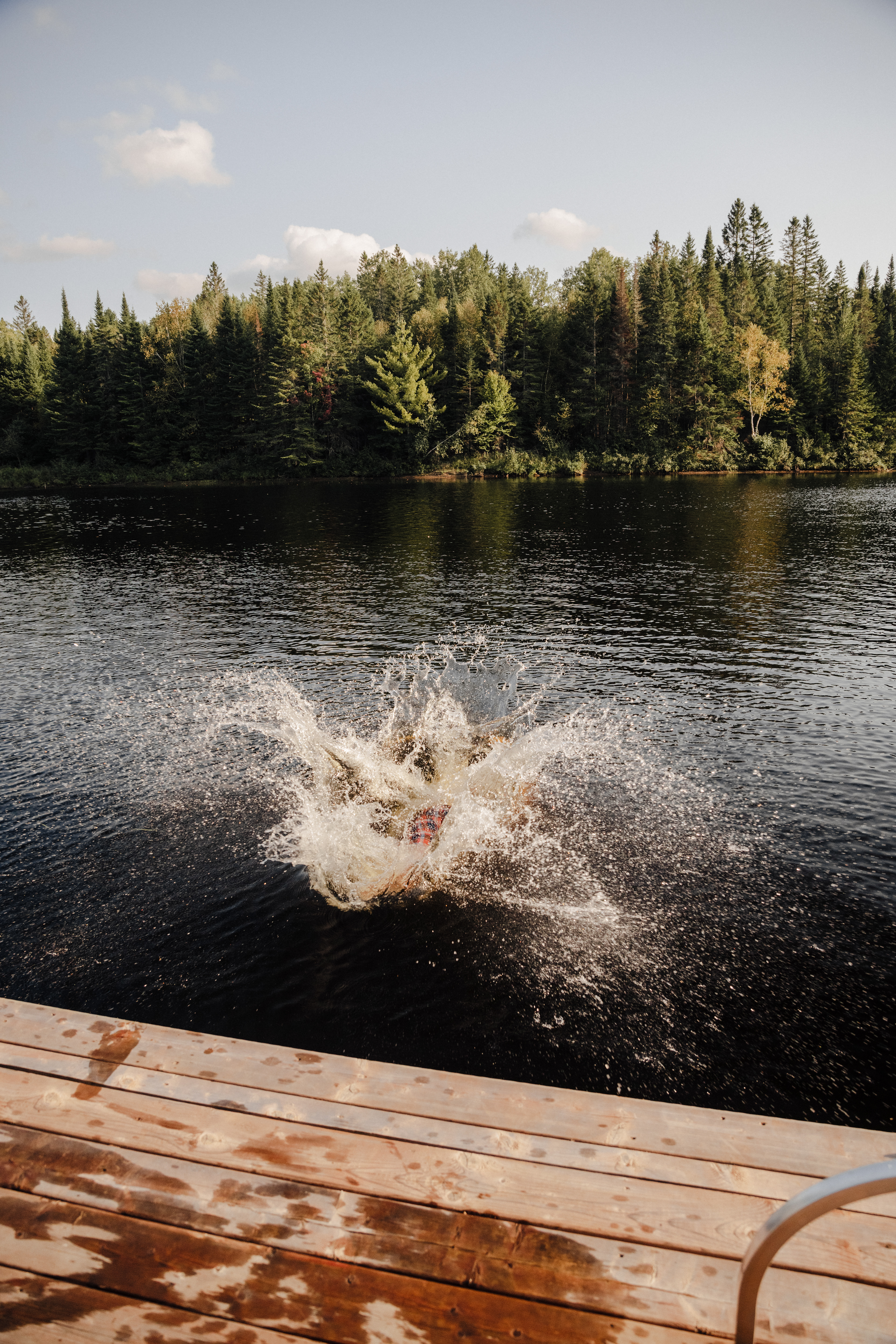 ©Colin Rousseau