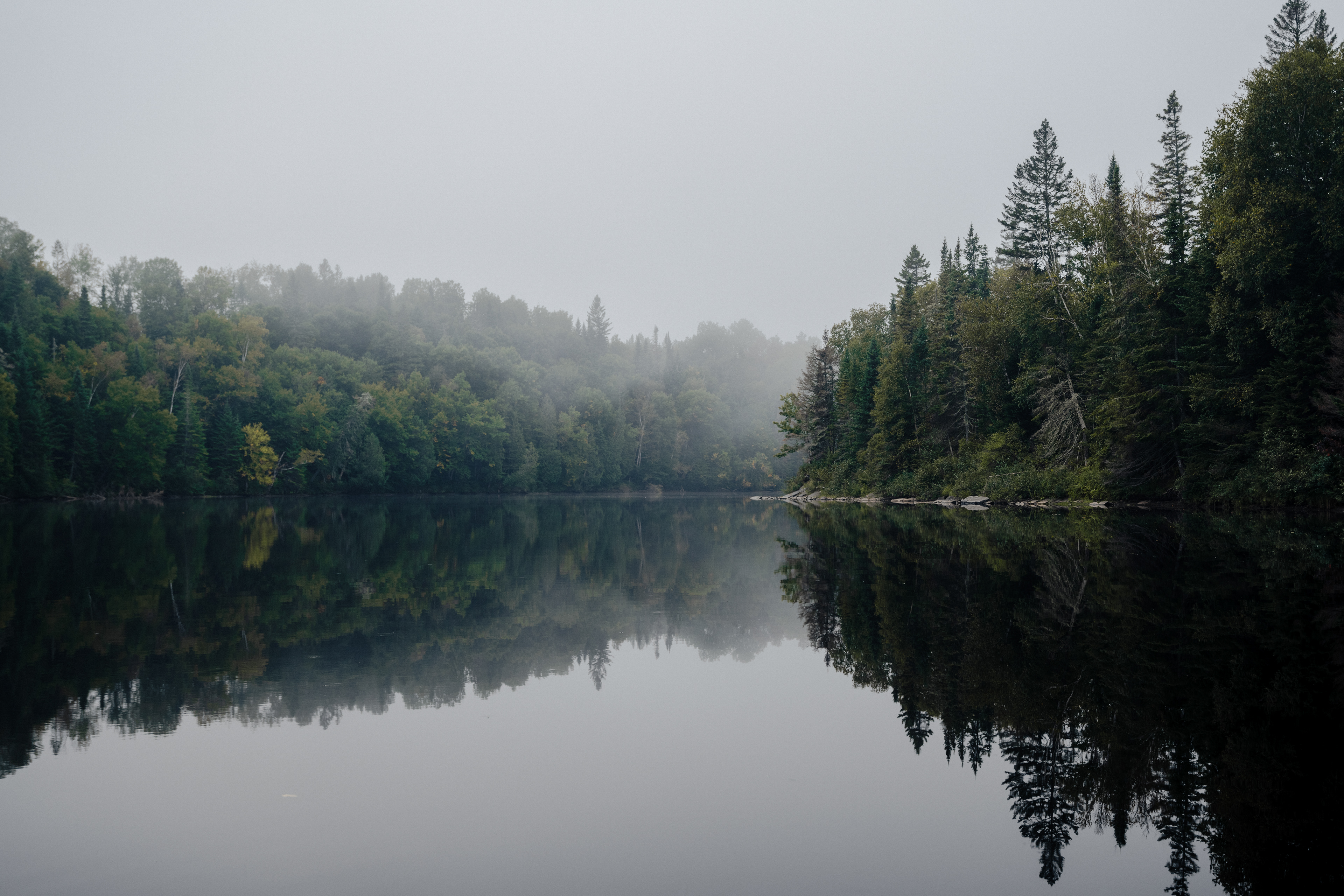 ©Colin Rousseau