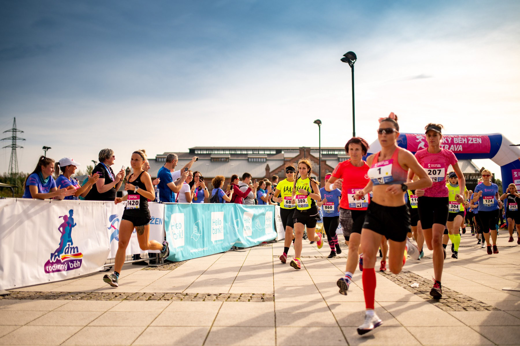 Nikon Z6 + Sigma 35mm f1.4 ART