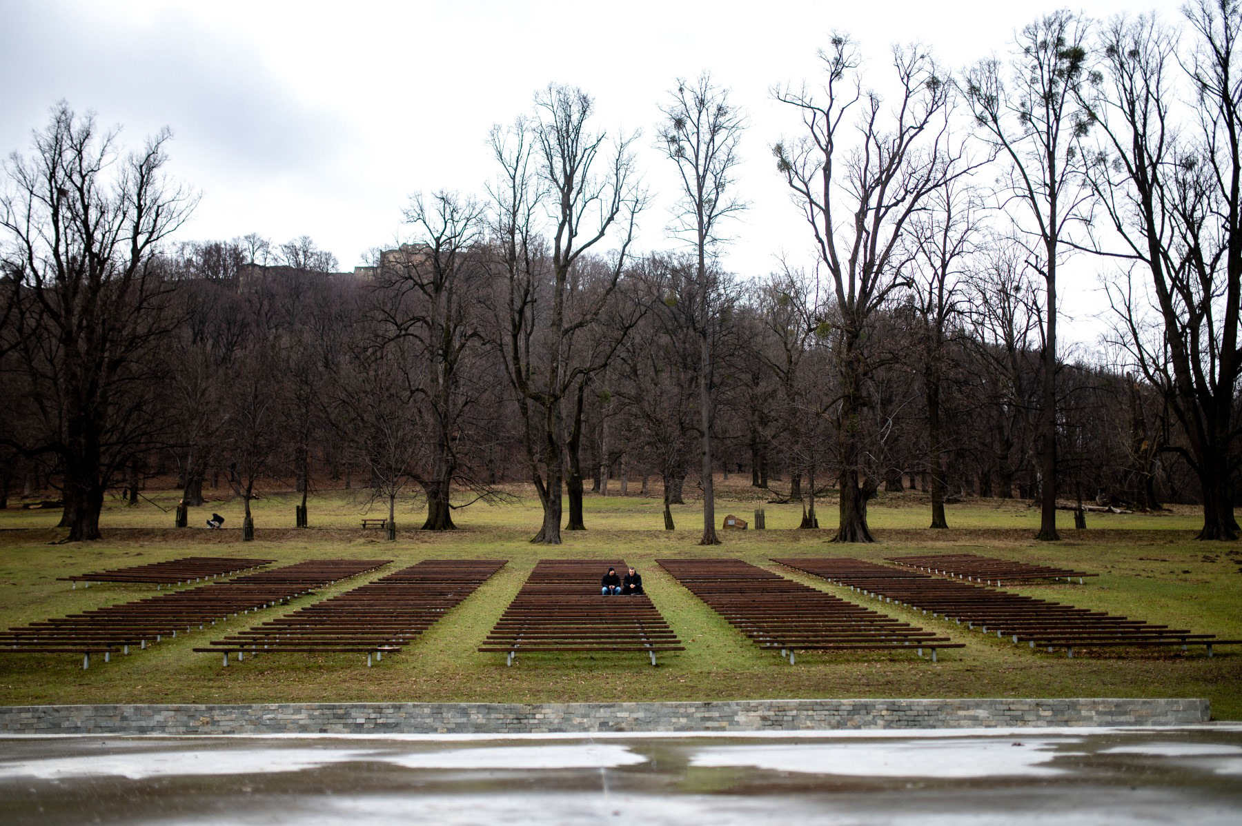 Nikon Z6 + Sigma 35mm f1.4 ART