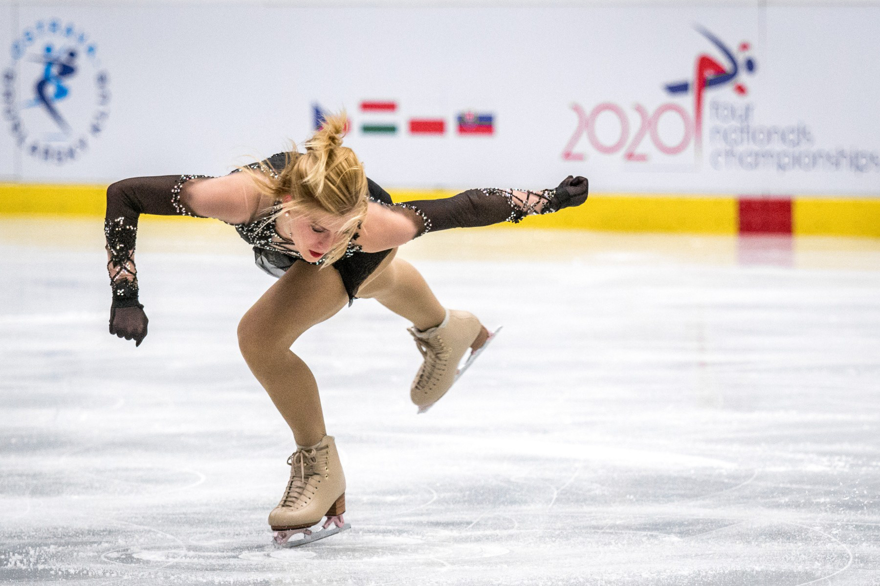 Nikon D500 + Nikon 70-200mm f2.8 FL VR