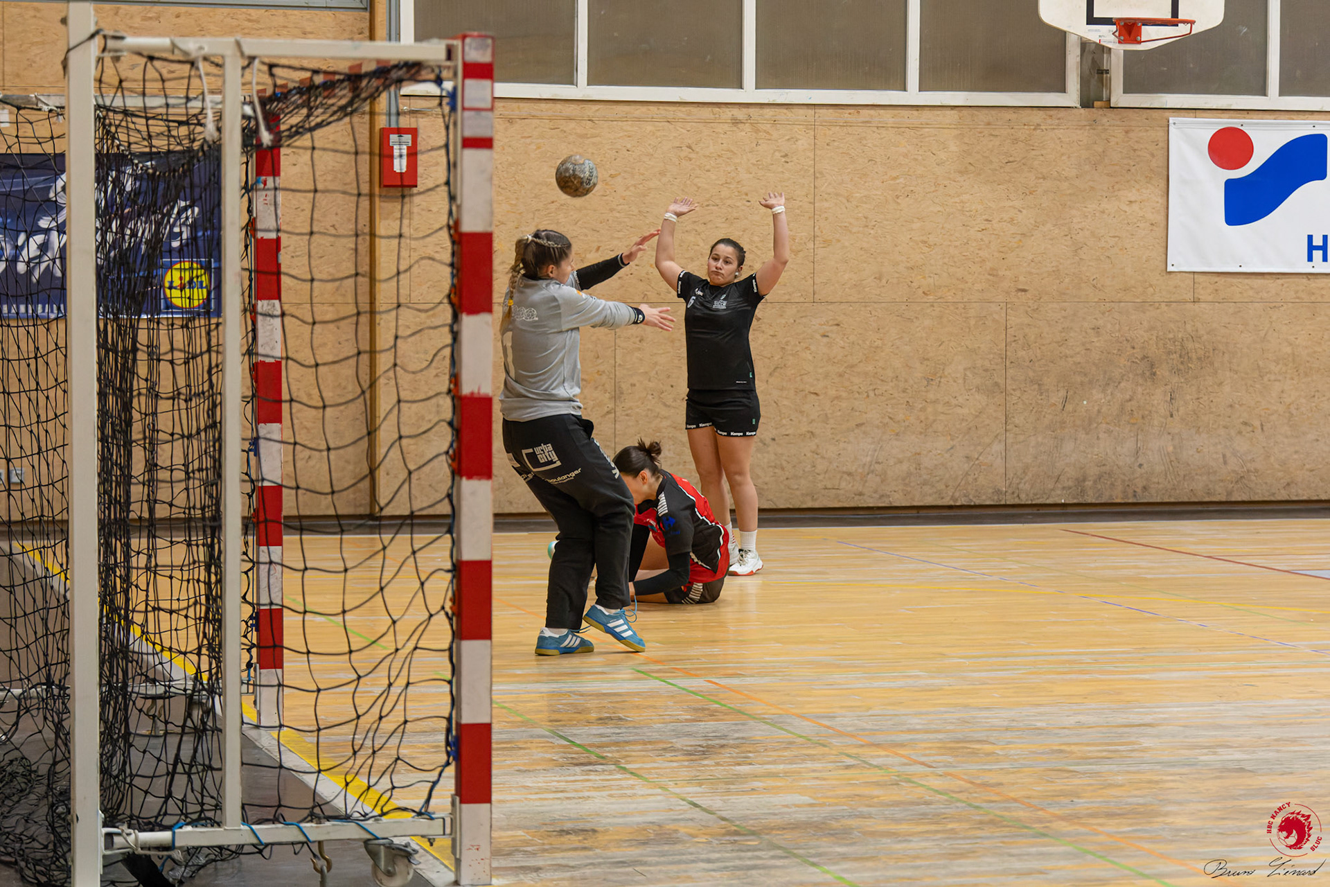 SF1 HBC SLUC Nancy - Colmar HC