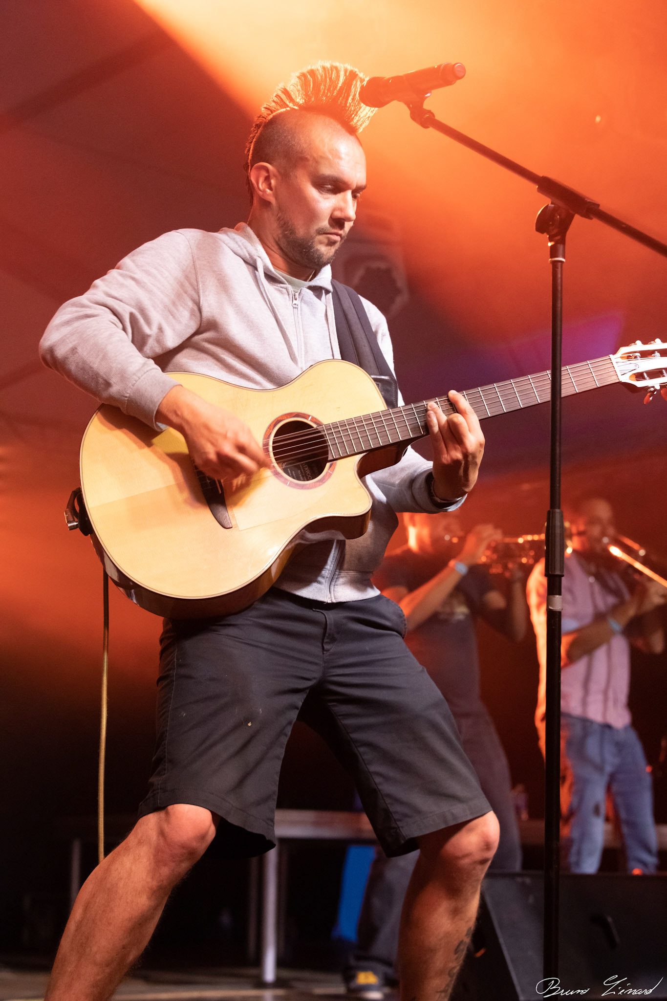 Festival Vach'De Rock #12