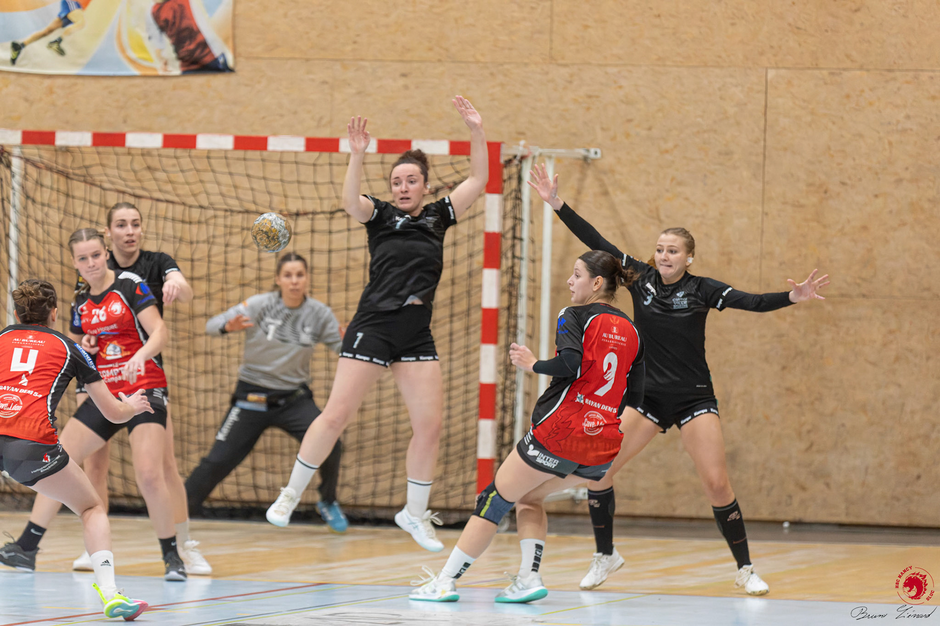 SF1 HBC SLUC Nancy - Colmar HC