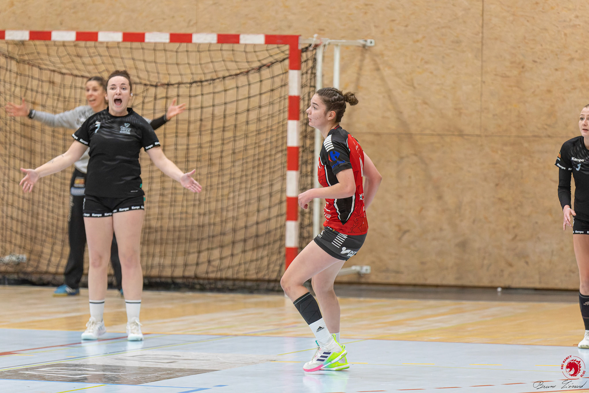SF1 HBC SLUC Nancy - Colmar HC