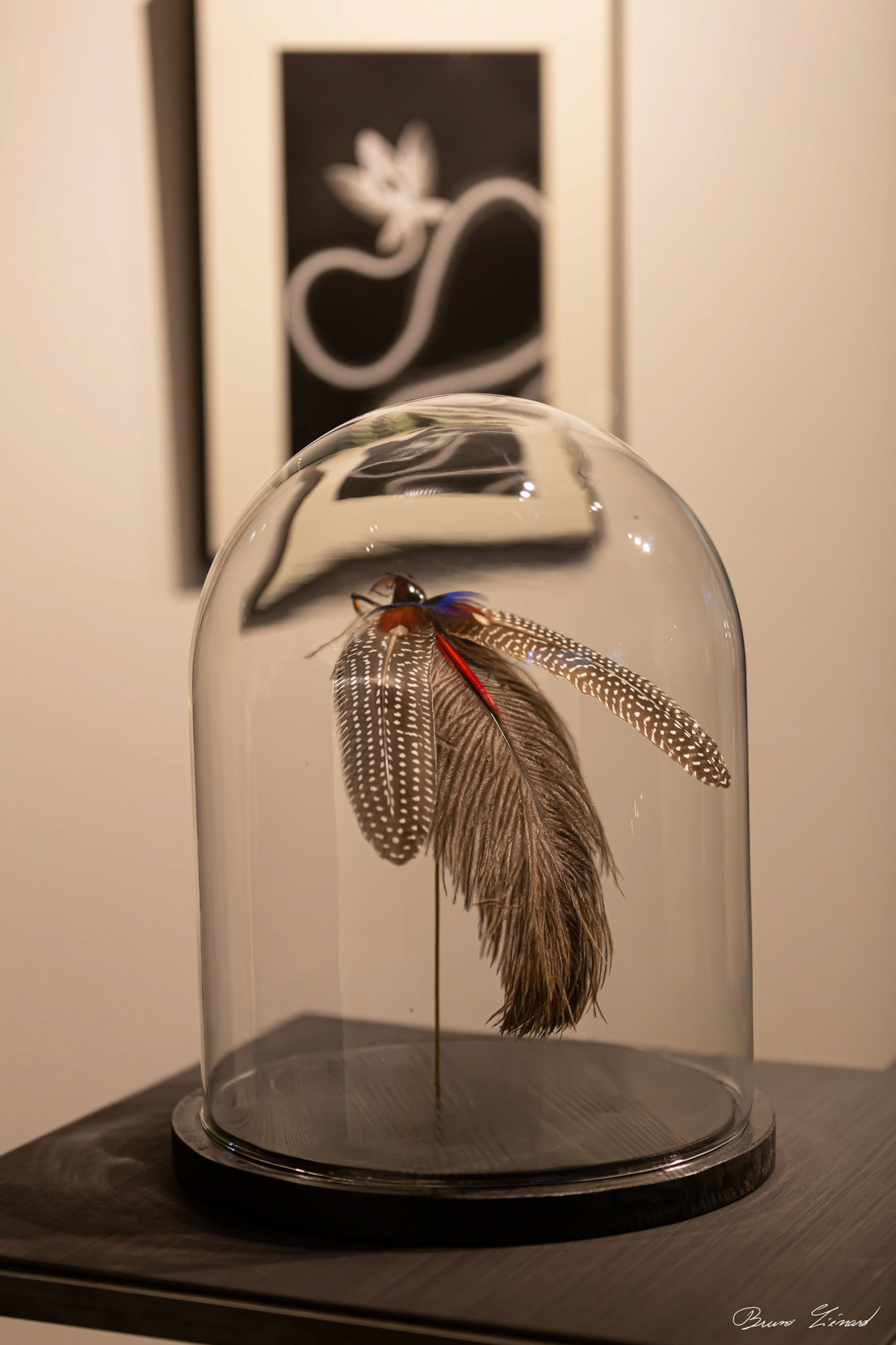 Les soleils noirs - Amandine Gollé