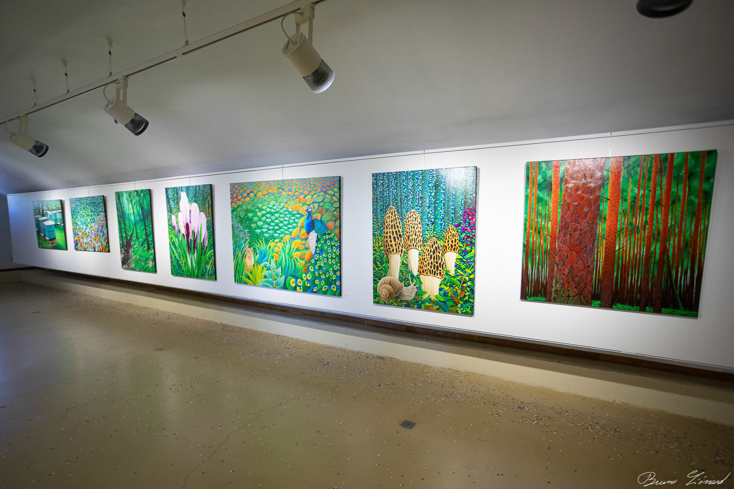 Finissage de l'exposition de Simon Hitziger