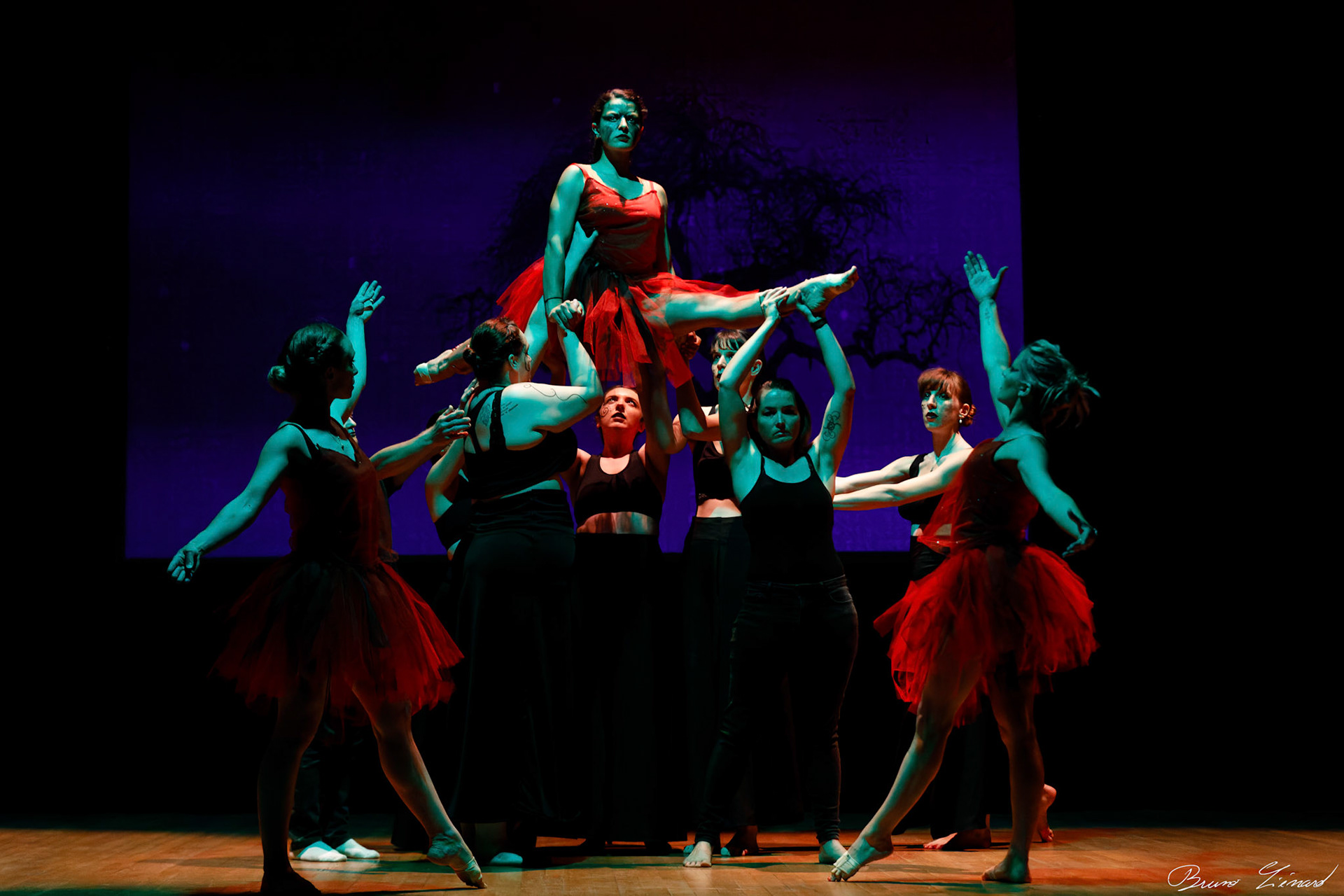 Répétitions DMA Sol Y Dance