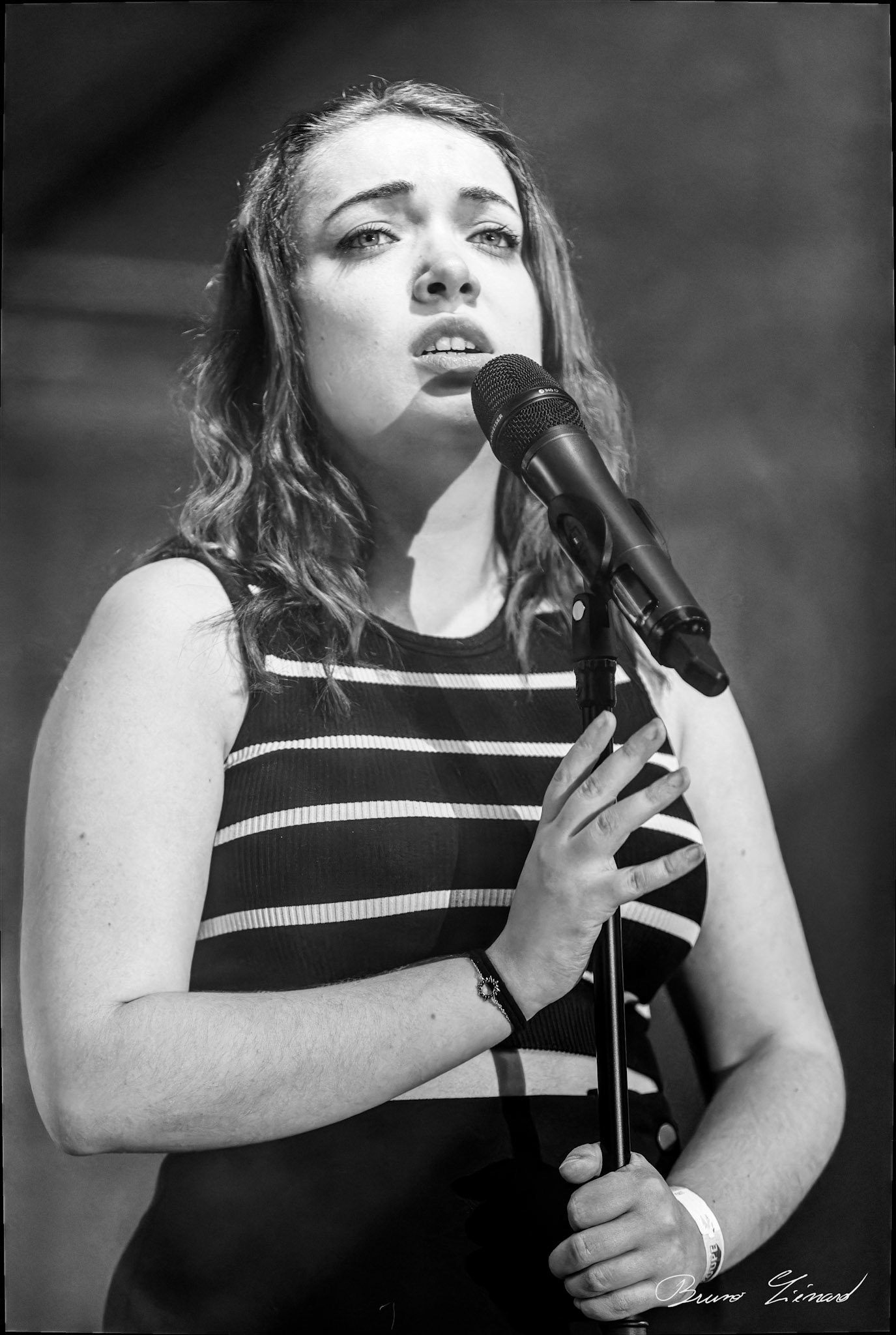 Festival Vach'De Rock 2024