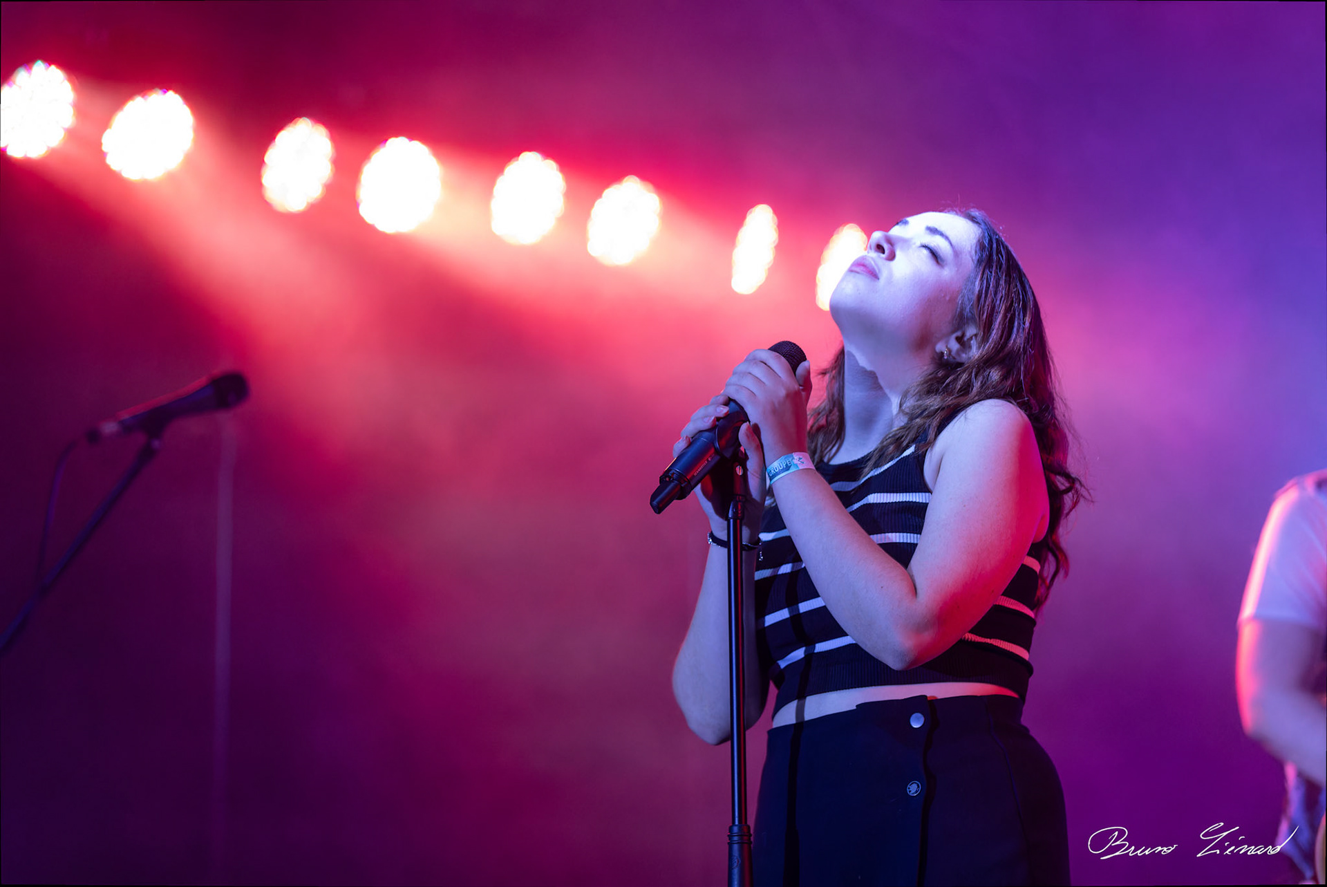 Festival Vach'De Rock 2024