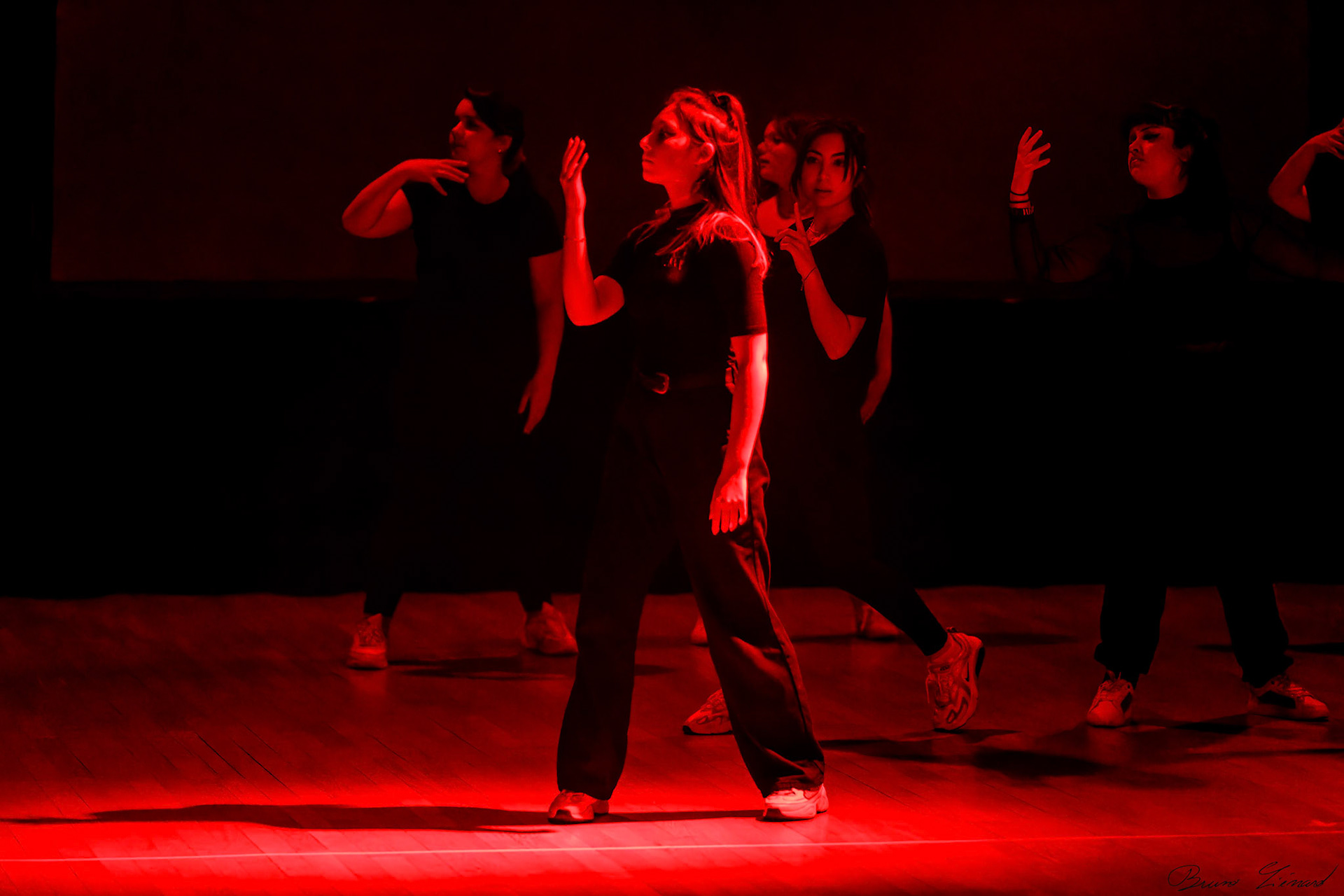 Spectacle "Renaissance" par la Danse Moderne Academy