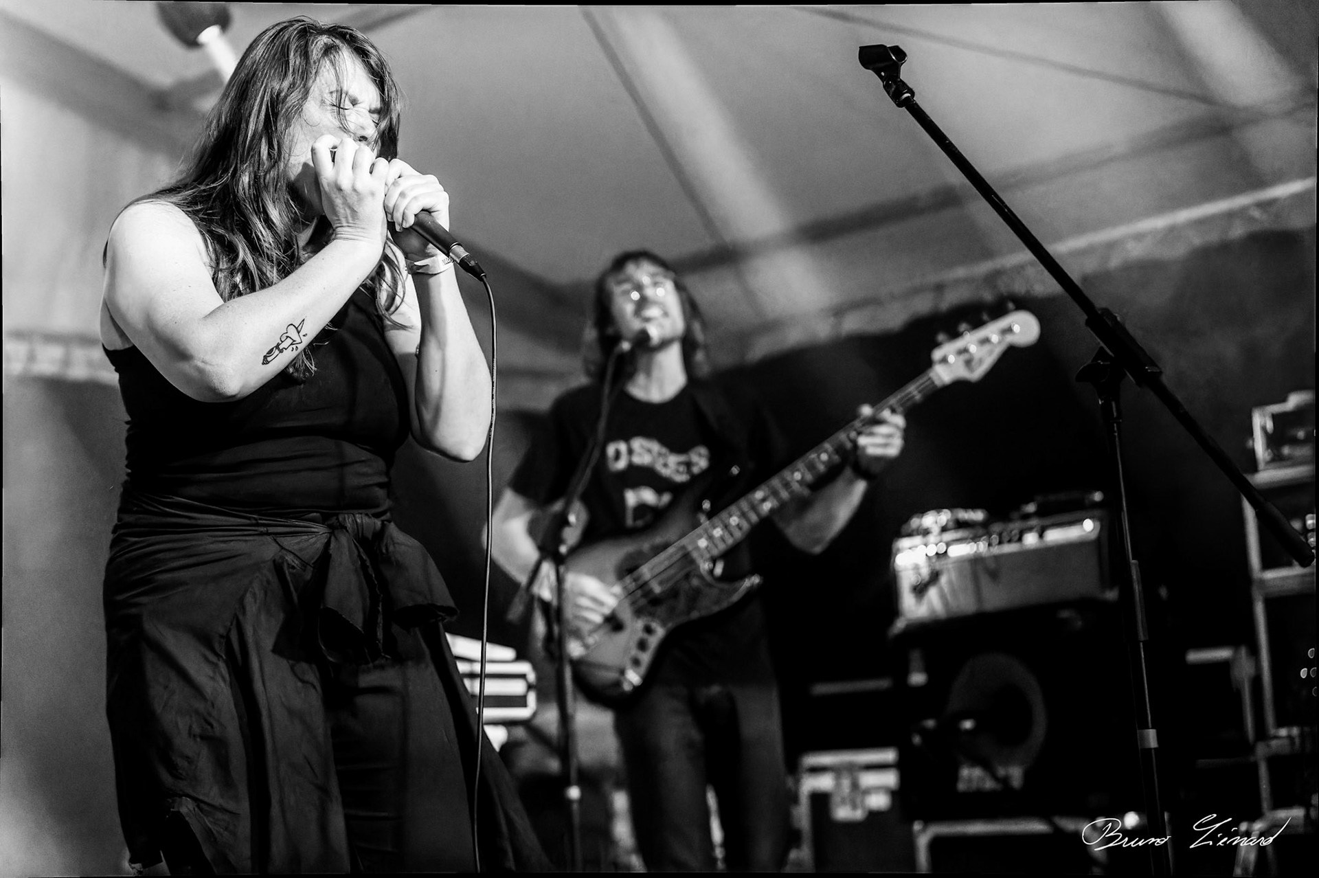 Festival Vach'De Rock 2024