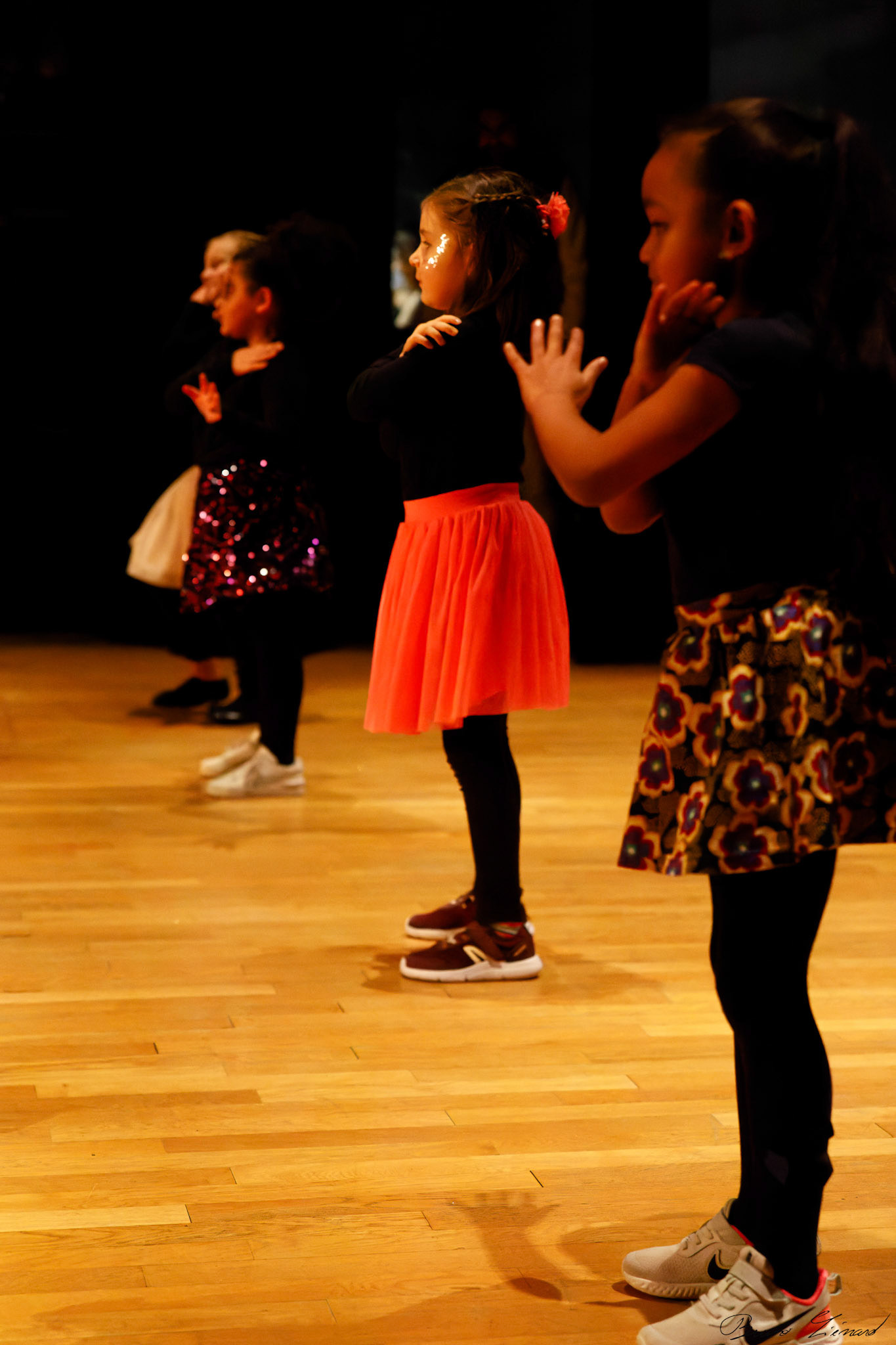 Spectacle "Renaissance" par la Danse Moderne Academy