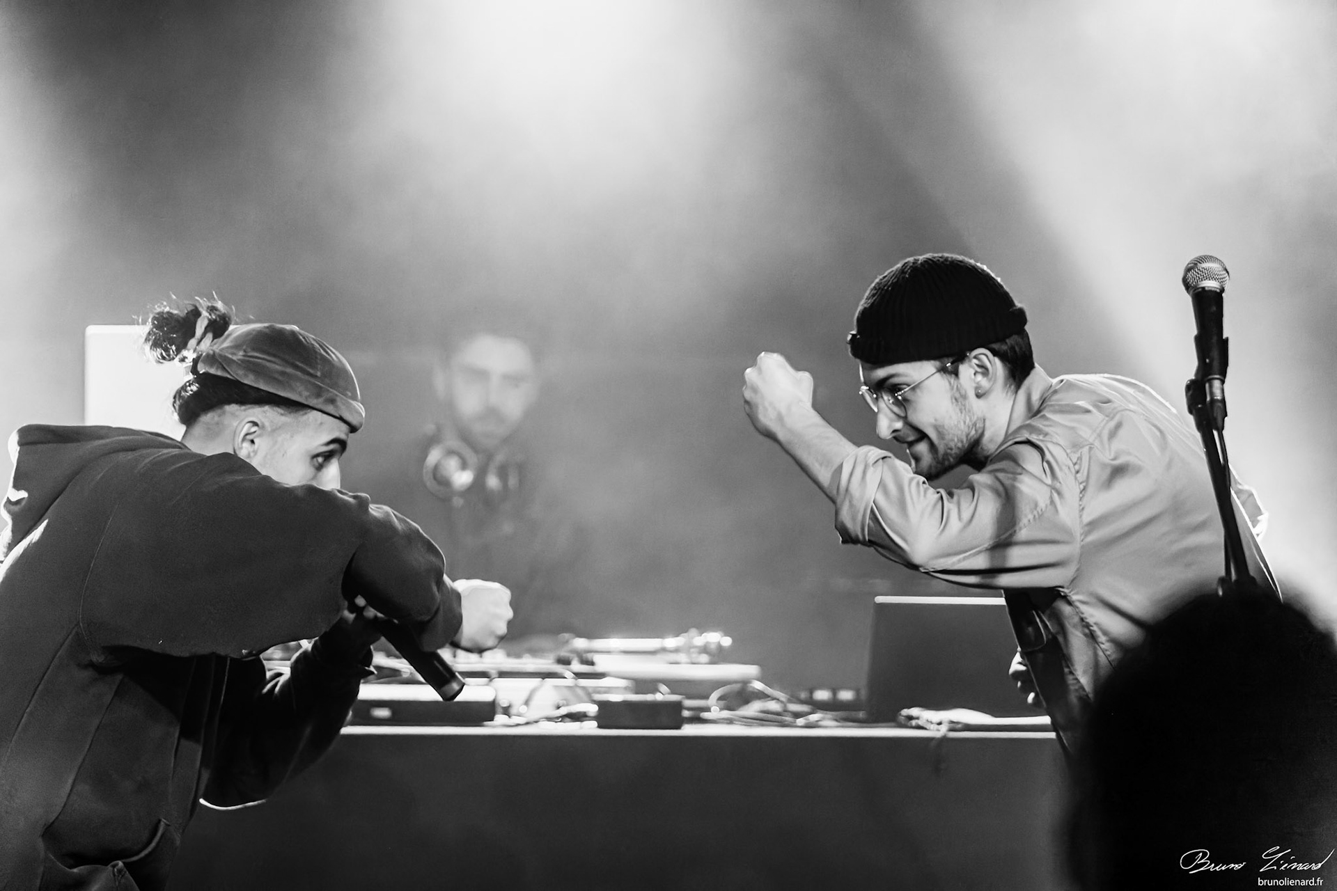 Lobo EL & Cotchei