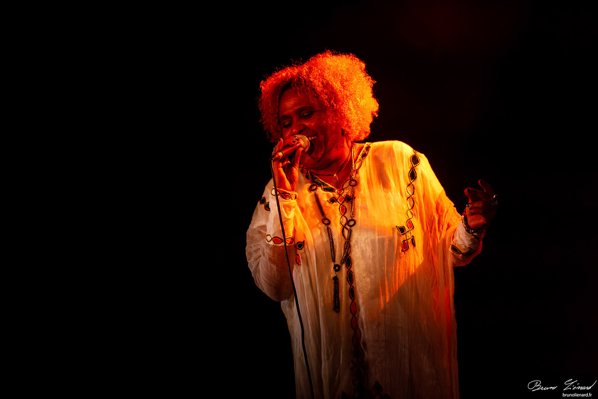 Eténèsh Wassié Trio