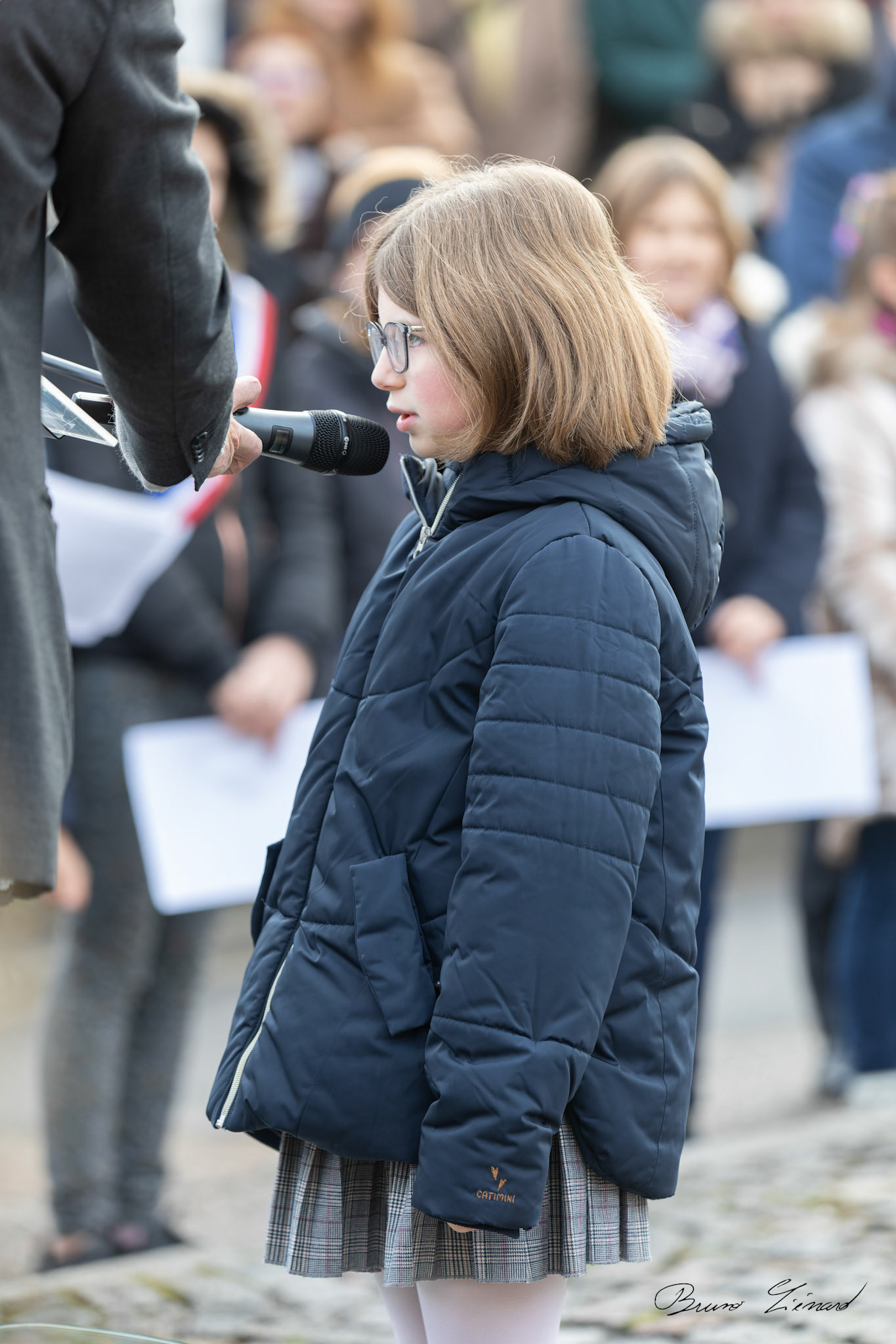 Cérémonie de commémoration de l'armistice du 11 novembre 1918 à Villers-lès-Nancy