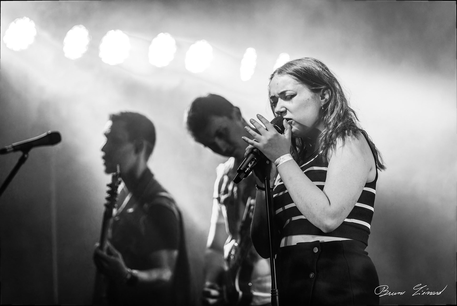 Festival Vach'De Rock 2024