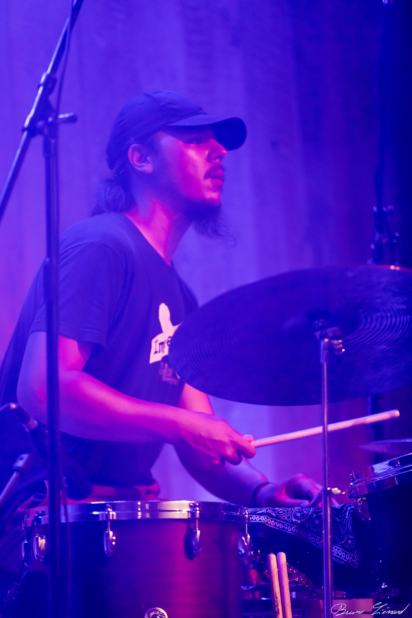 Dom Ferrer