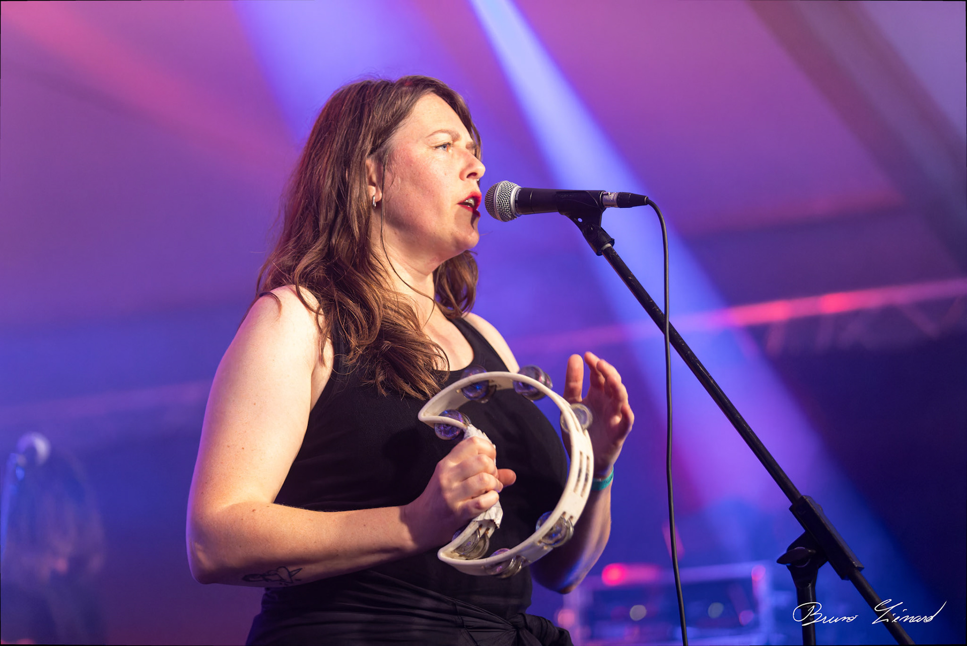 Festival Vach'De Rock 2024