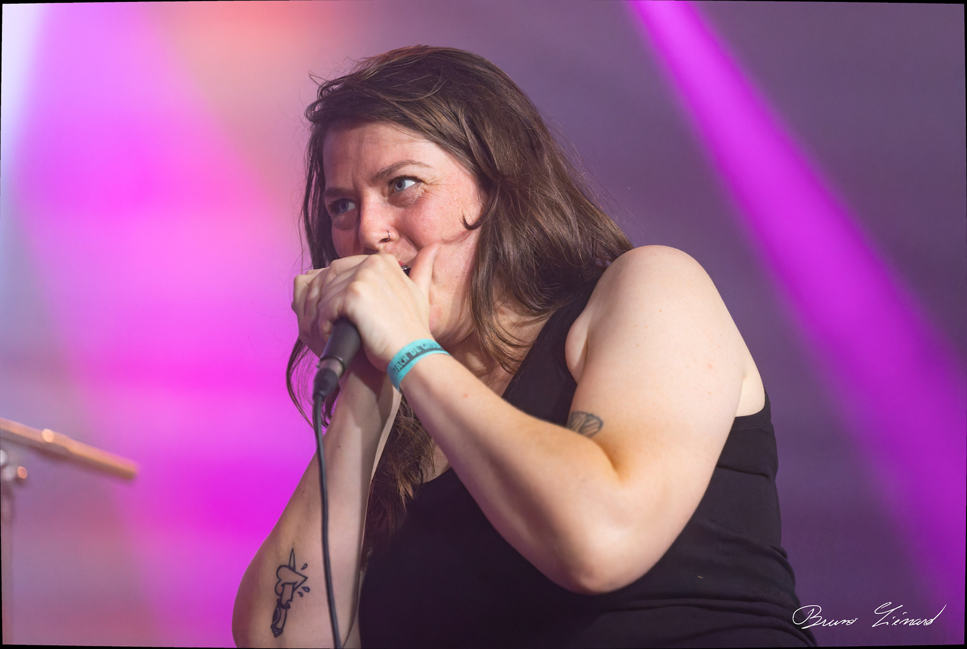 Festival Vach'De Rock 2024