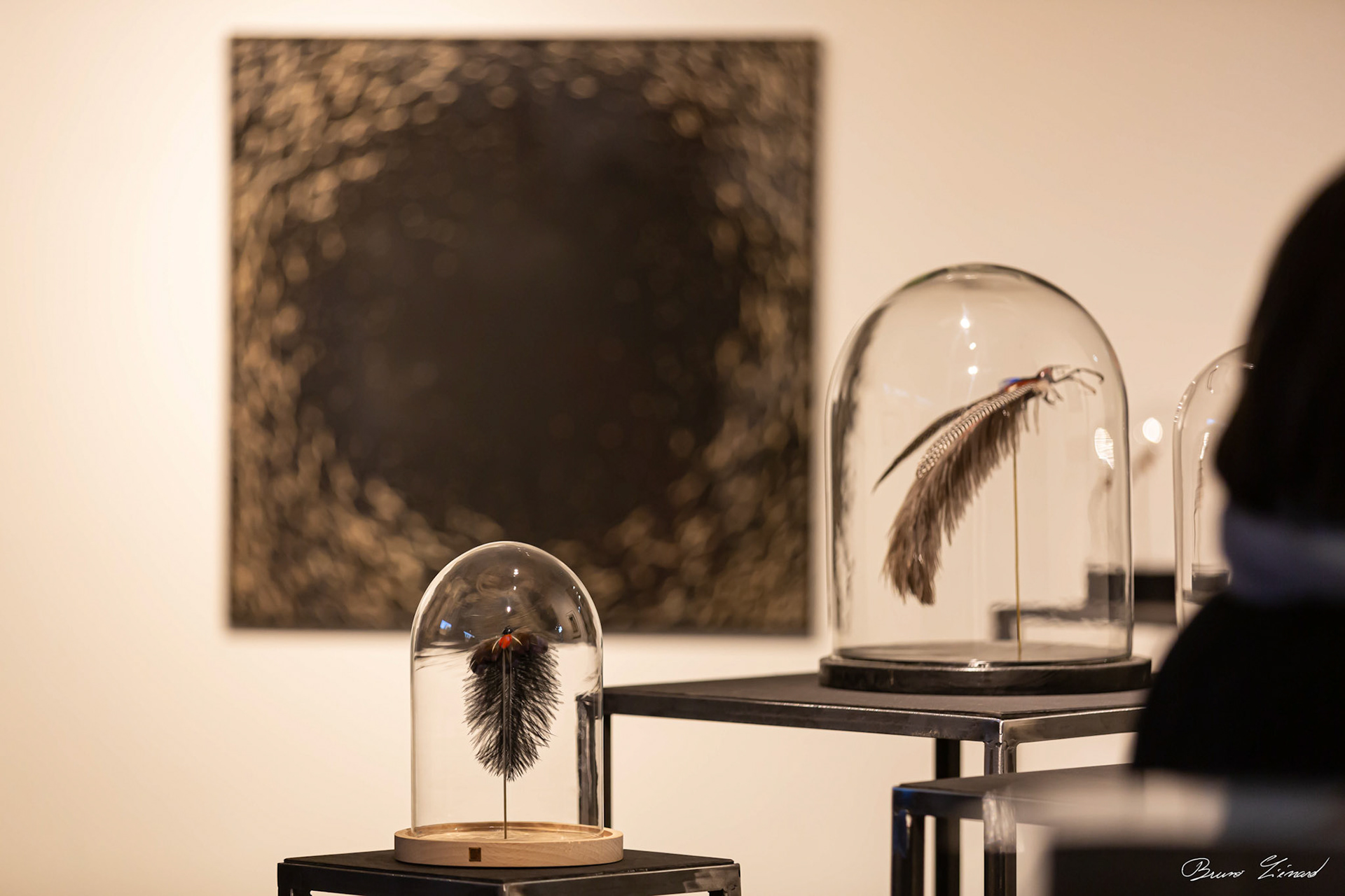 Les soleils noirs - Amandine Gollé