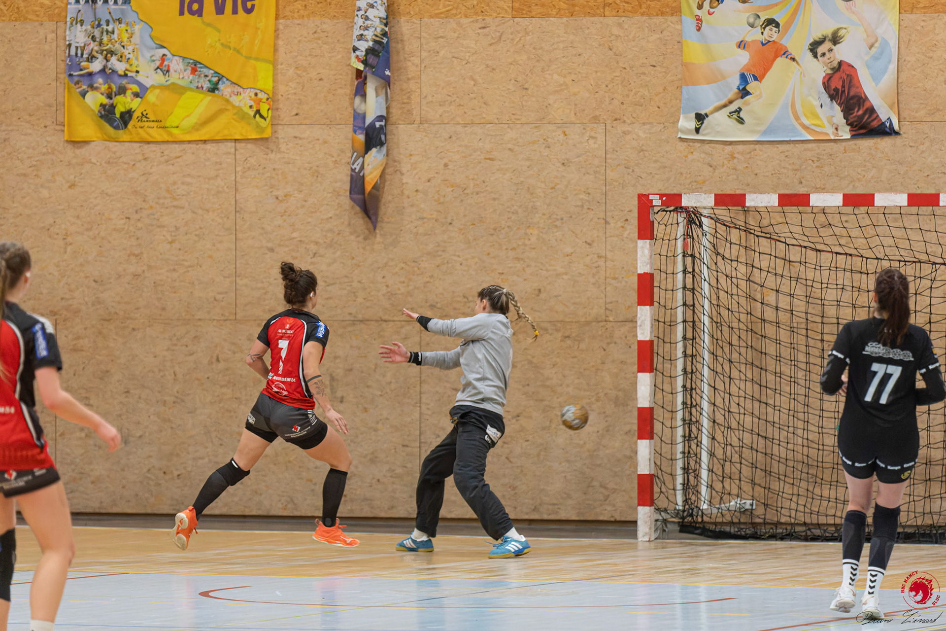 SF1 HBC SLUC Nancy - Colmar HC