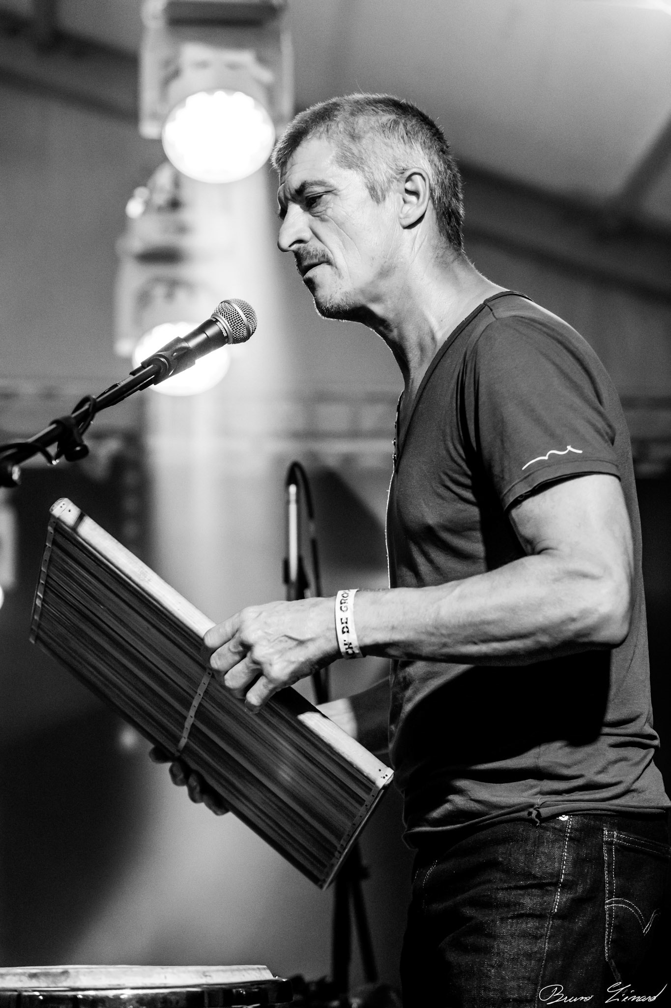 Festival Vach'De Rock #12