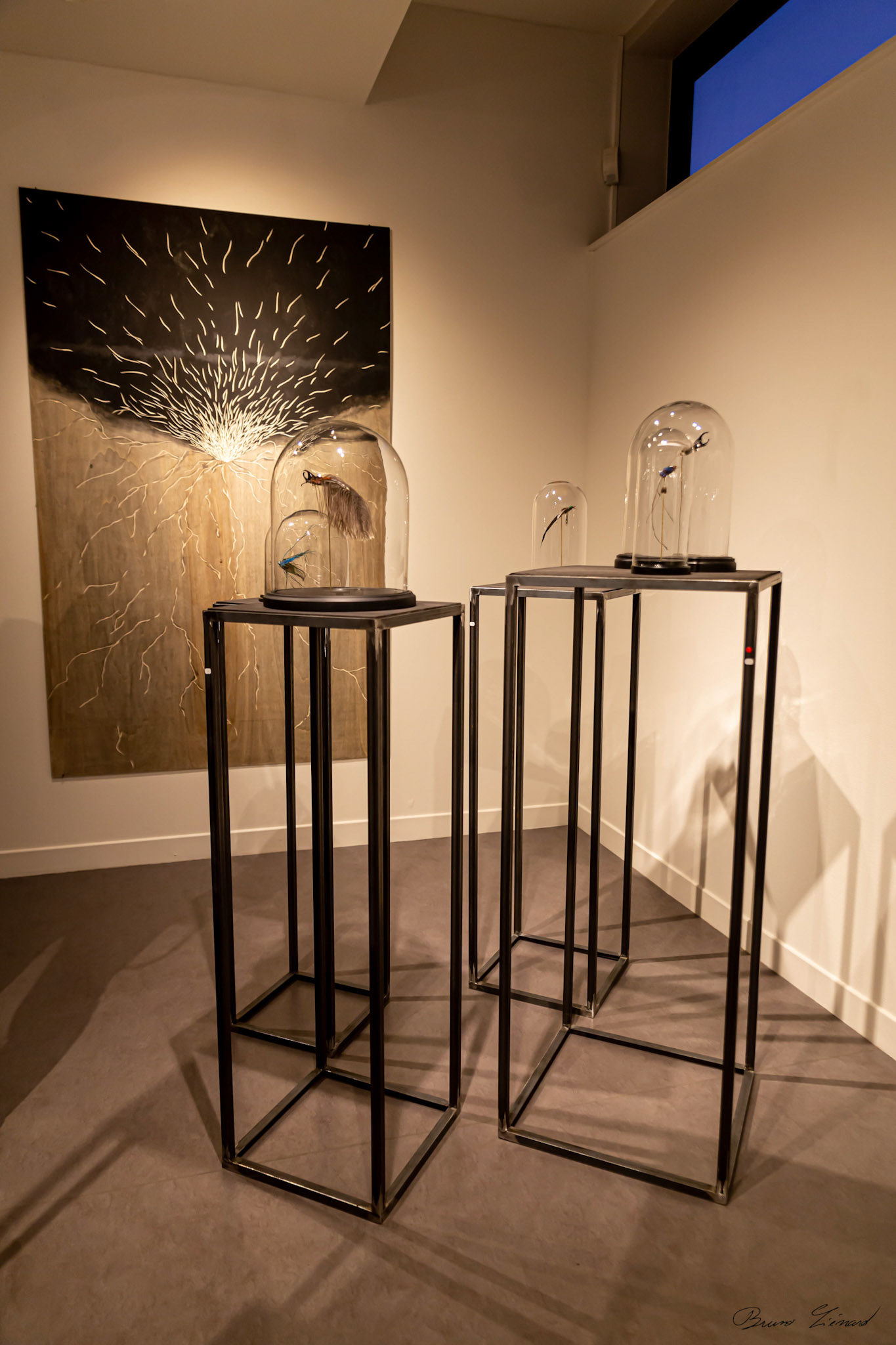 Les soleils noirs - Amandine Gollé