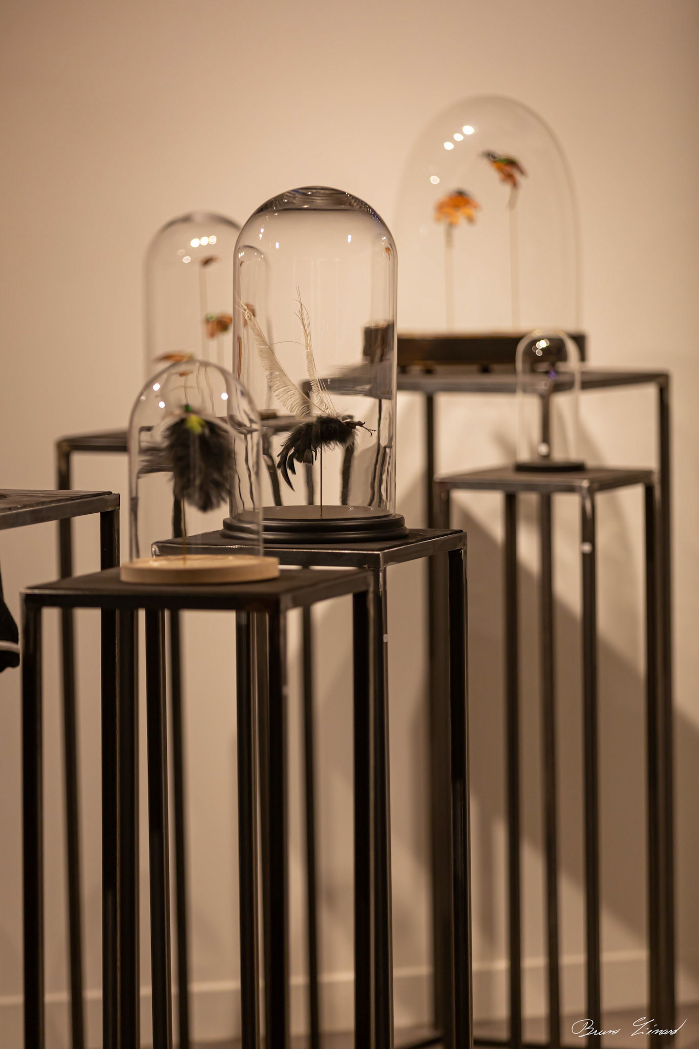 Les soleils noirs - Amandine Gollé