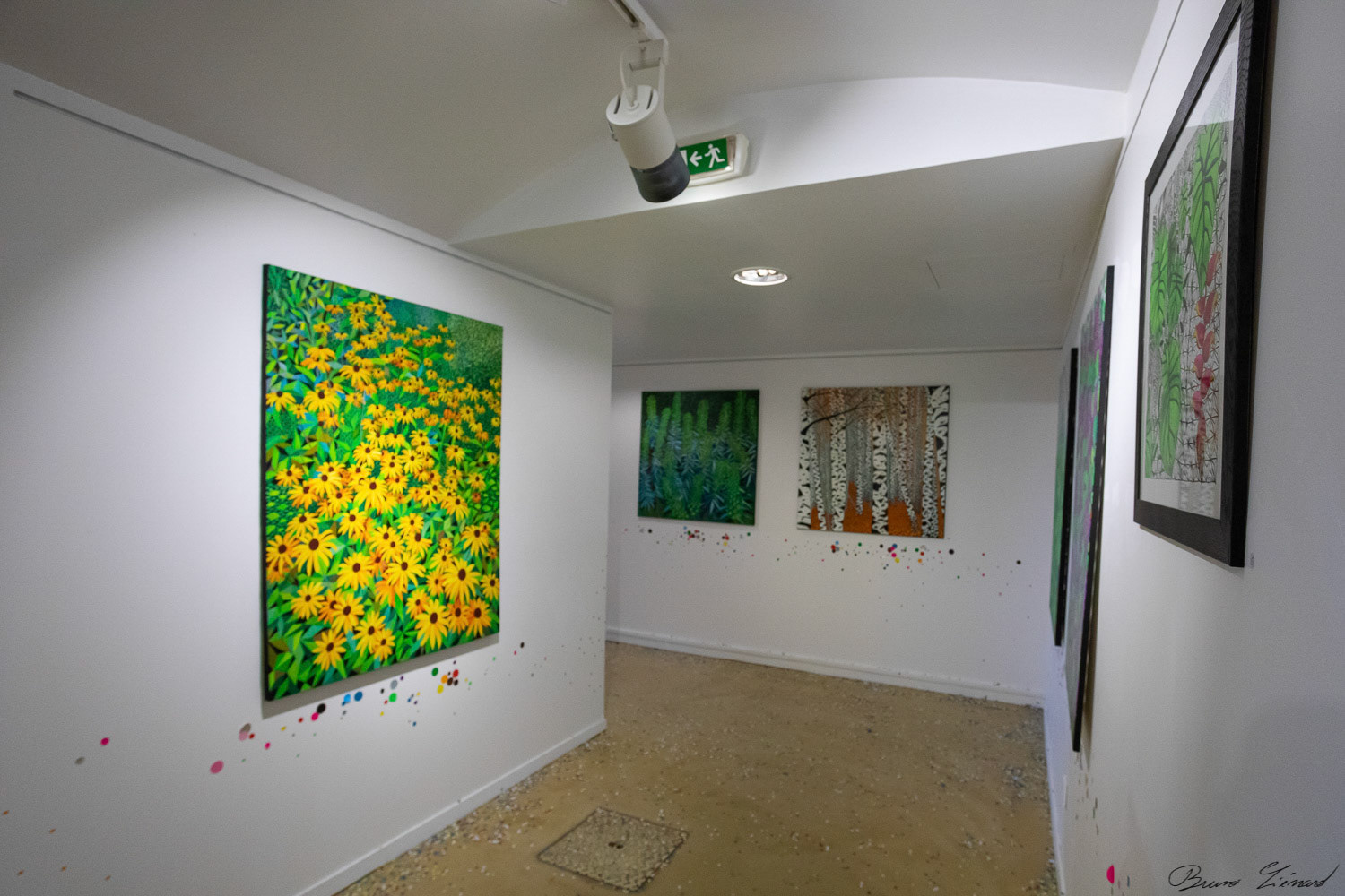 Finissage de l'exposition de Simon Hitziger