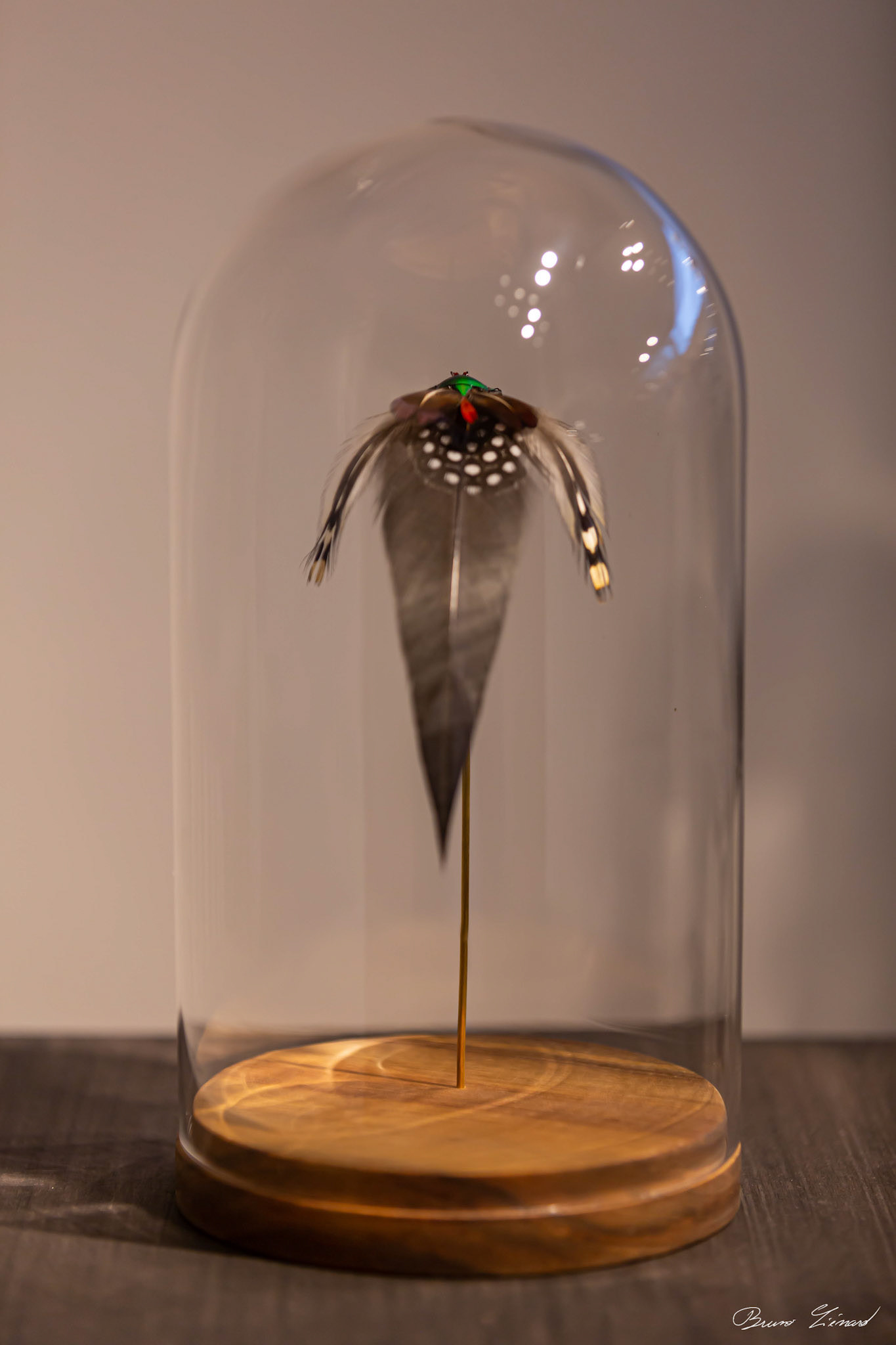 Les soleils noirs - Amandine Gollé