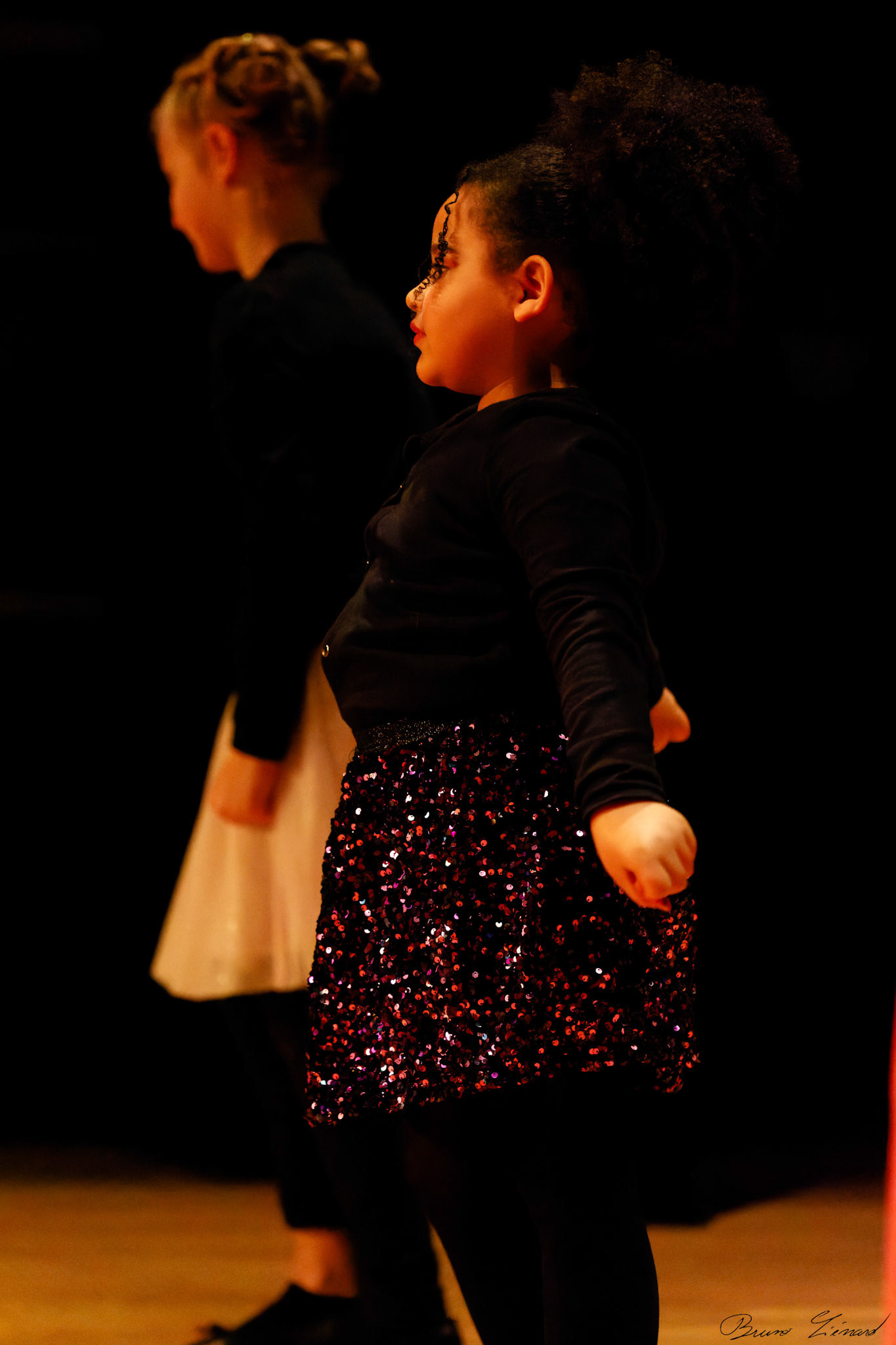 Spectacle "Renaissance" par la Danse Moderne Academy