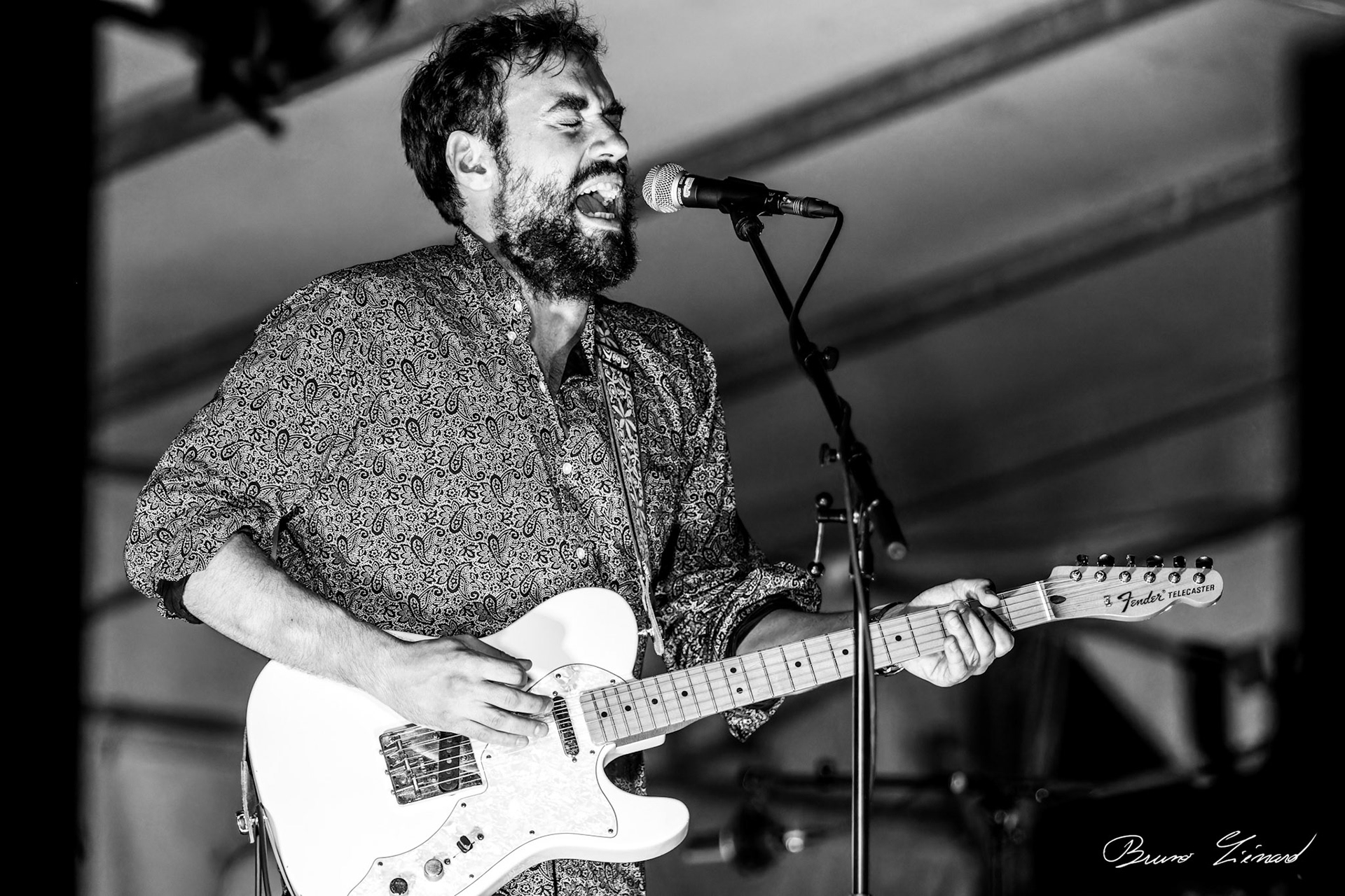 Fête de la musique à Villers-lès-Nancy