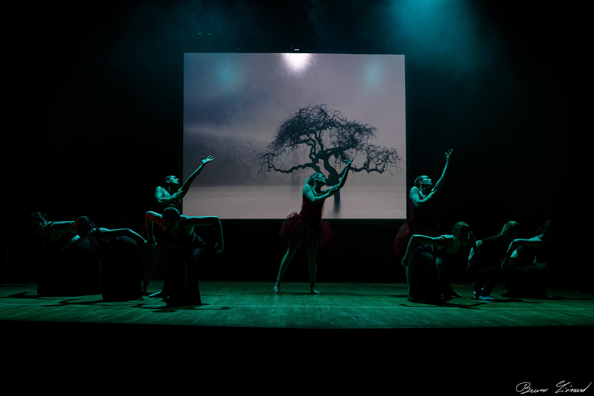 Répétitions DMA Sol Y Dance