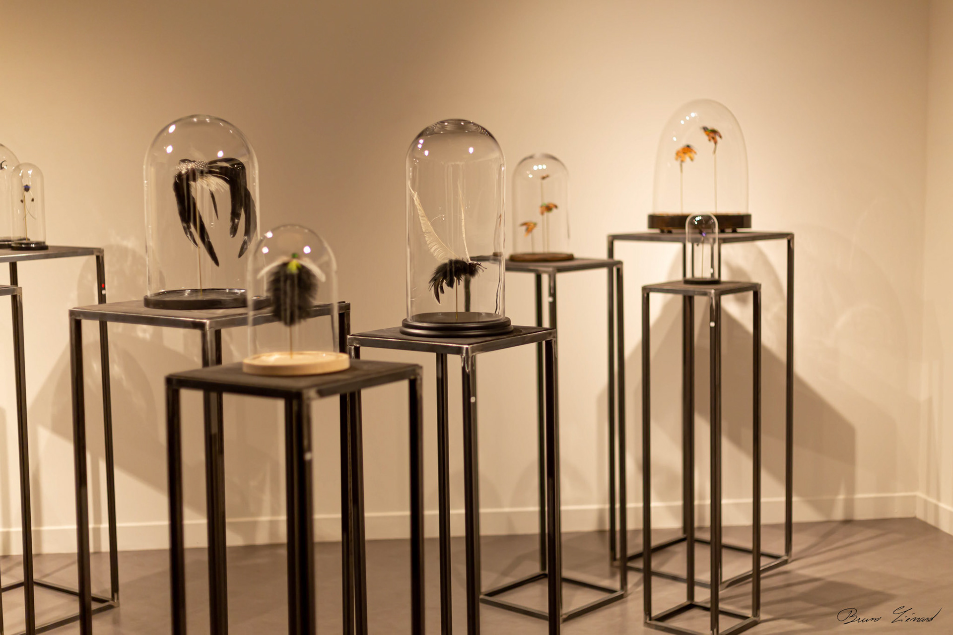 Les soleils noirs - Amandine Gollé