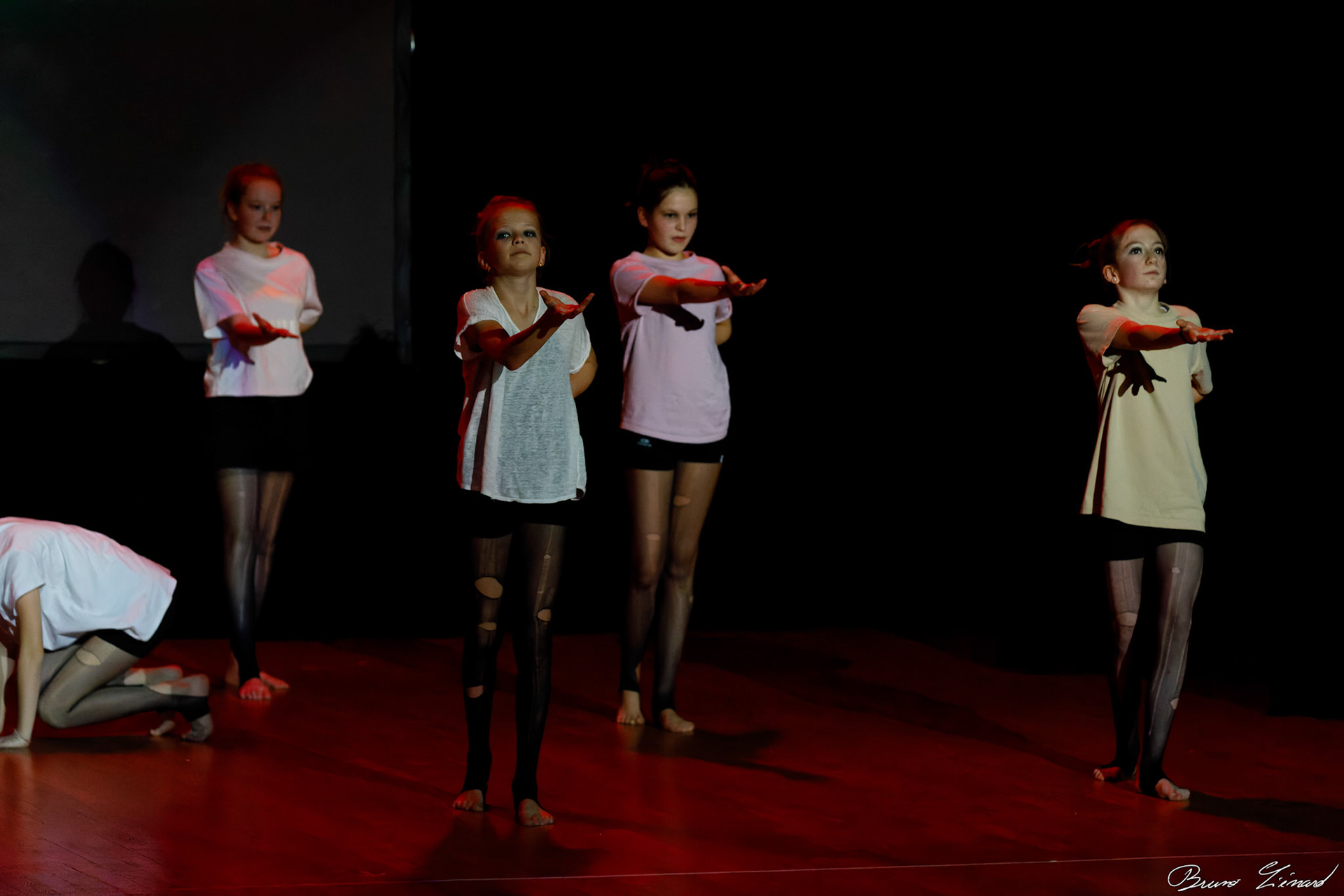 Spectacle "Renaissance" par la Danse Moderne Academy